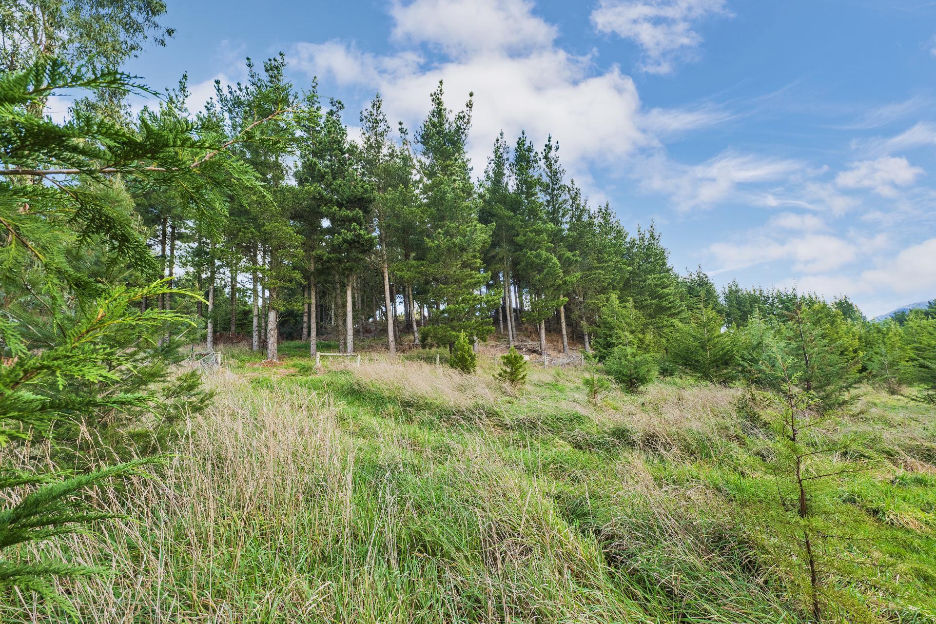 49B Dalbeg Road, Balcairn