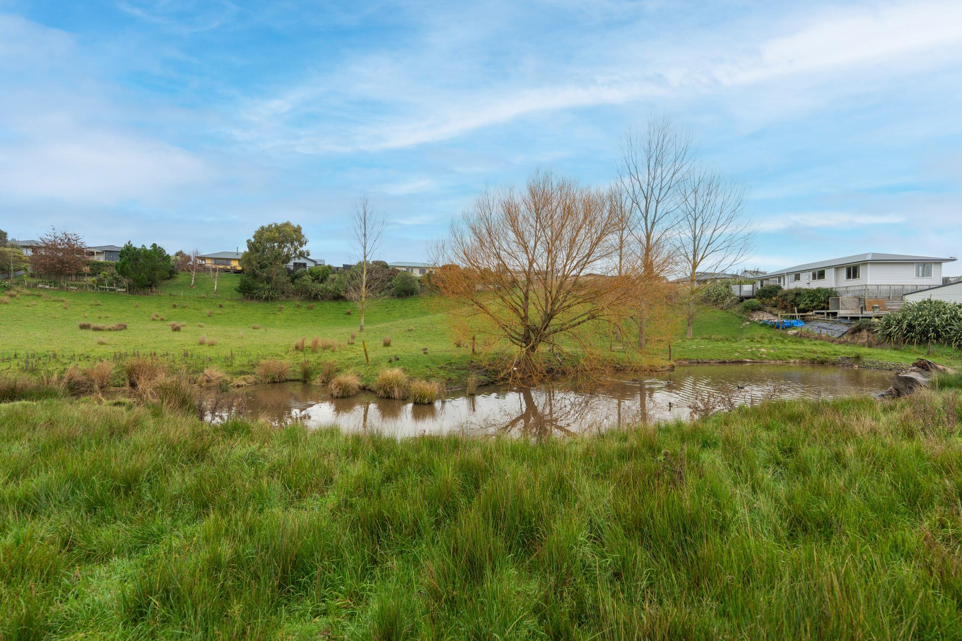 12 Aotea Street, Feilding