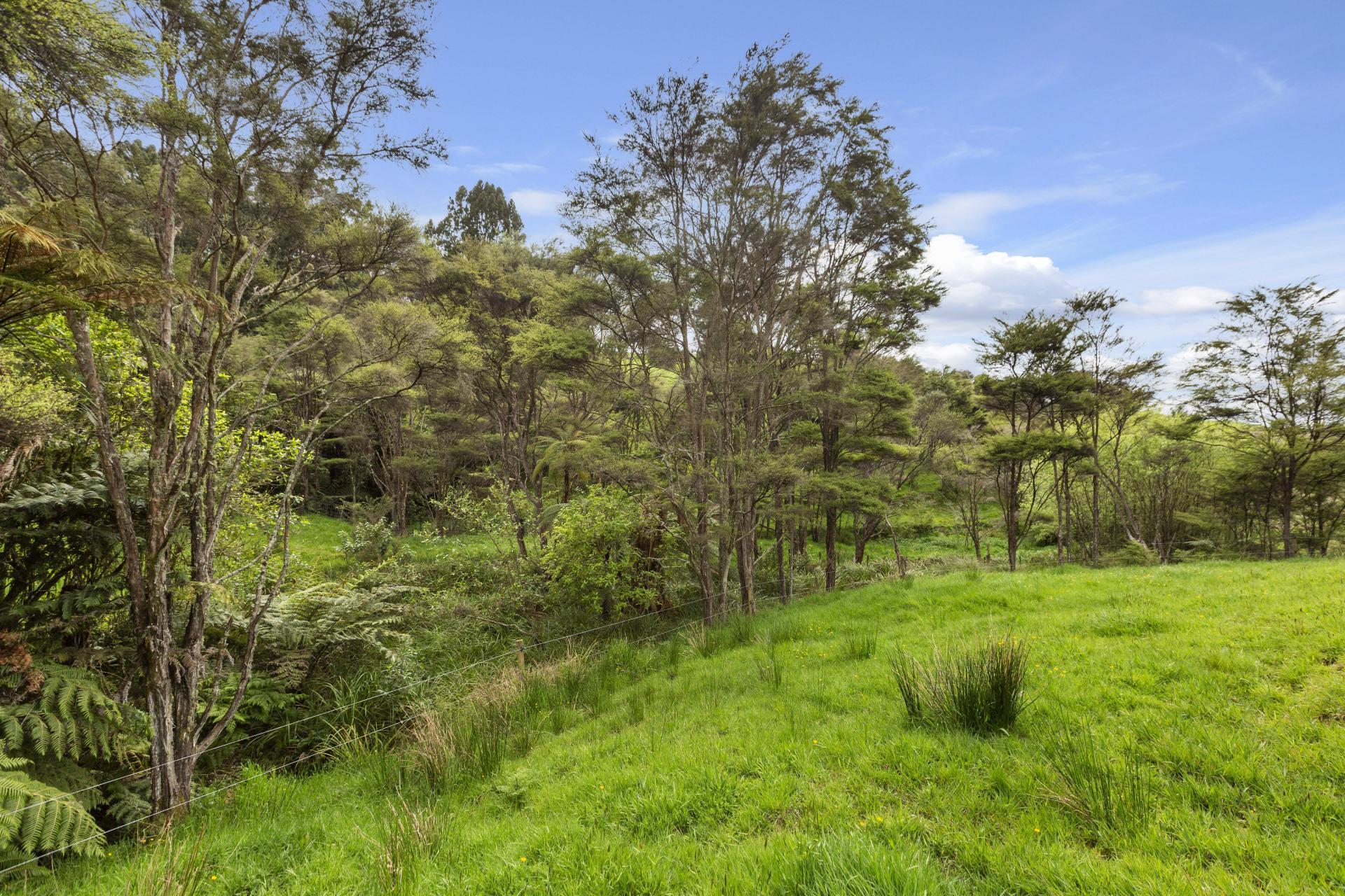 168 Te Puroa Road, Ngaruawahia