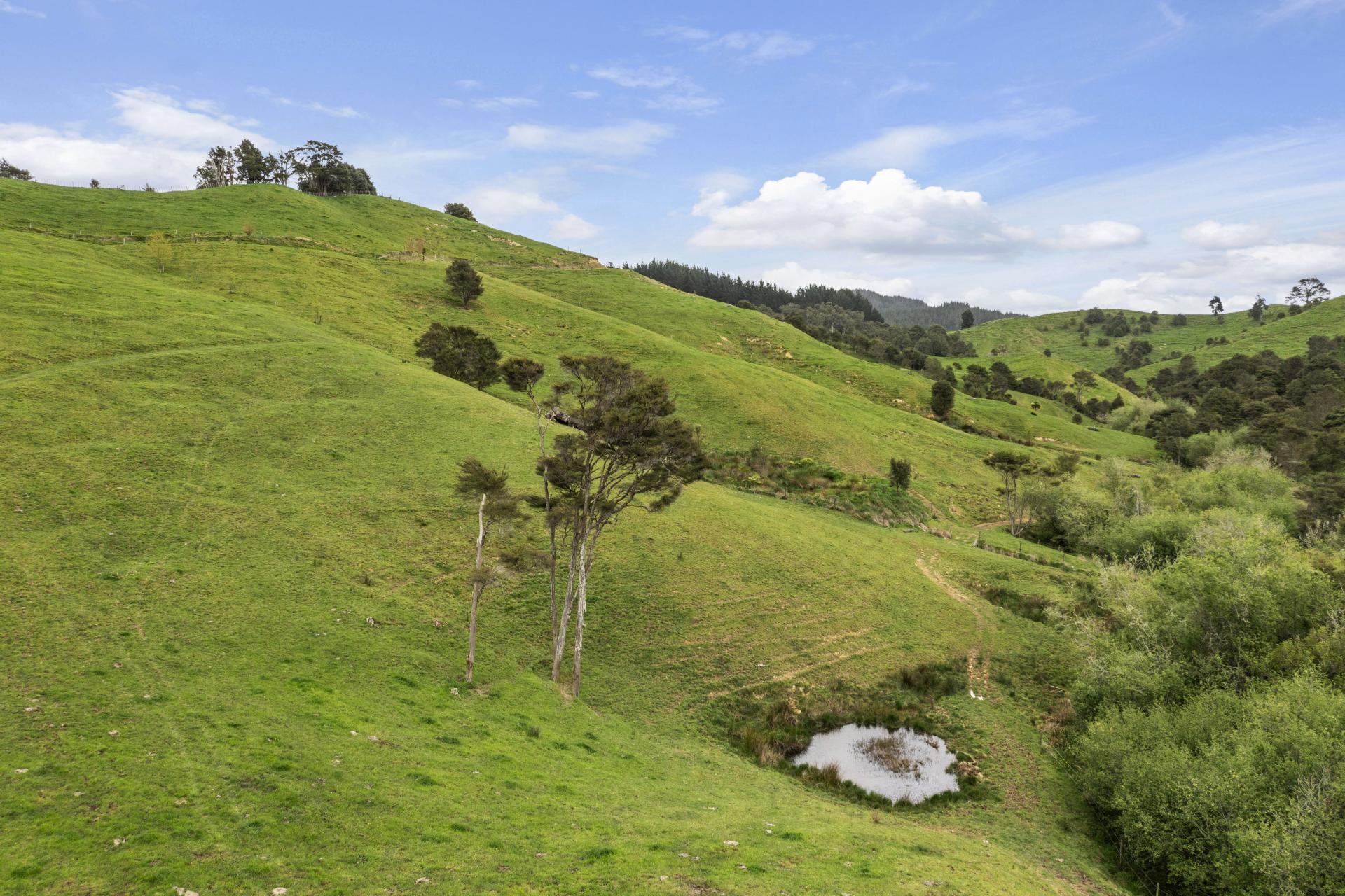 168 Te Puroa Road, Ngaruawahia