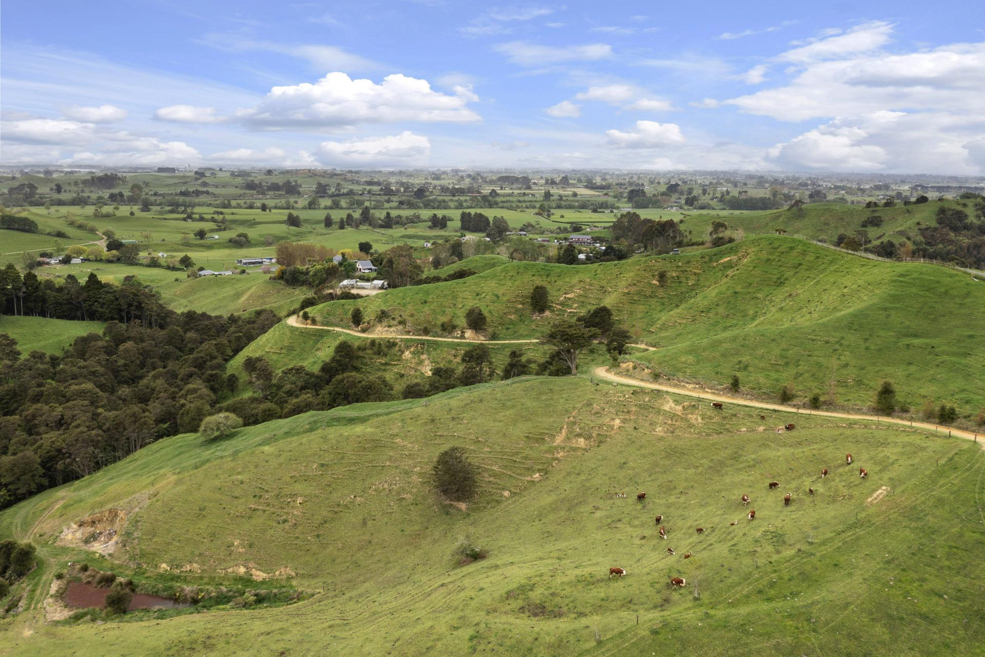168 Te Puroa Road, Ngaruawahia