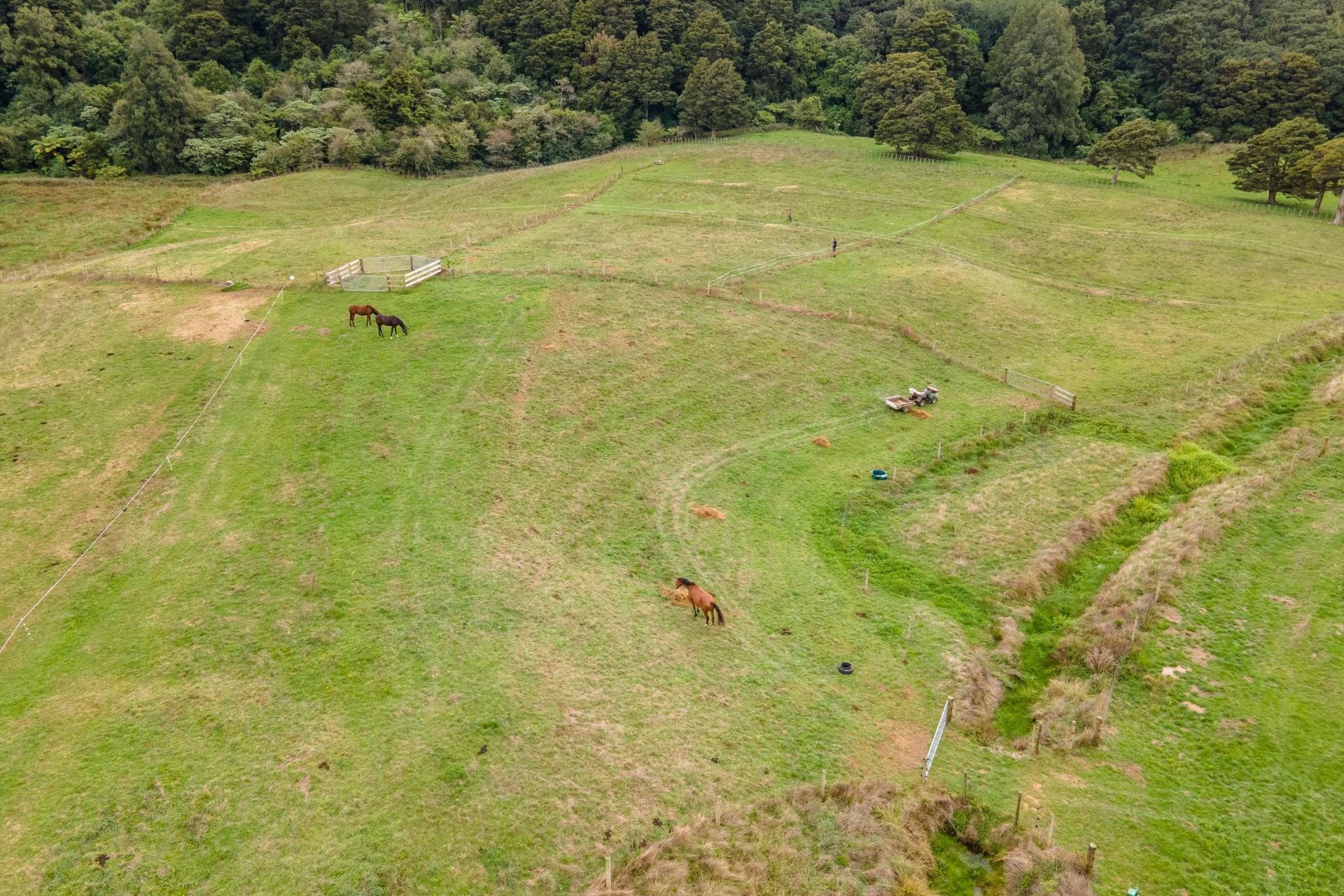Waiuku