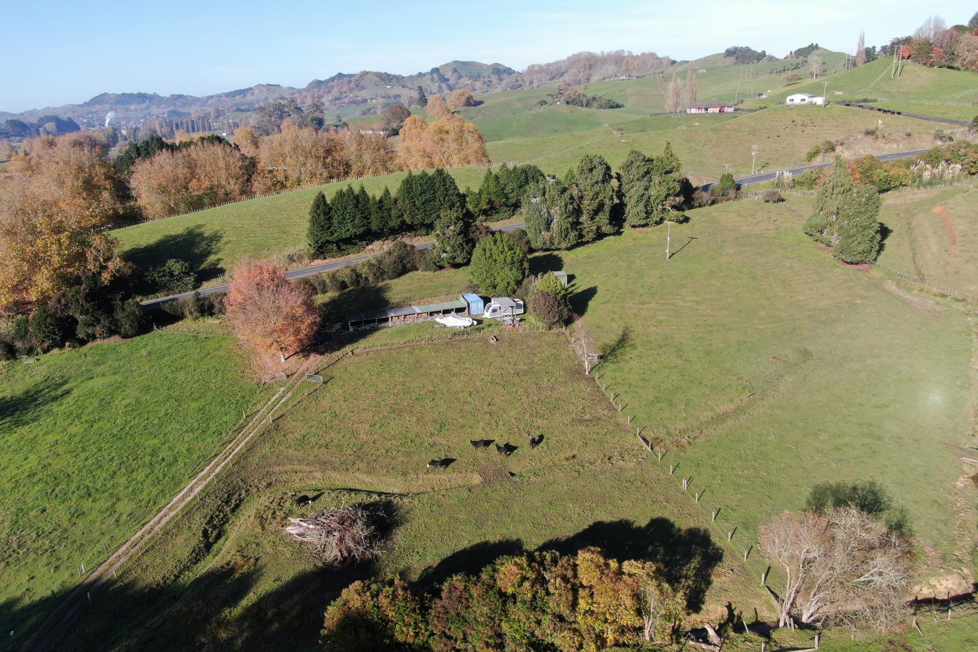 Te Kuiti