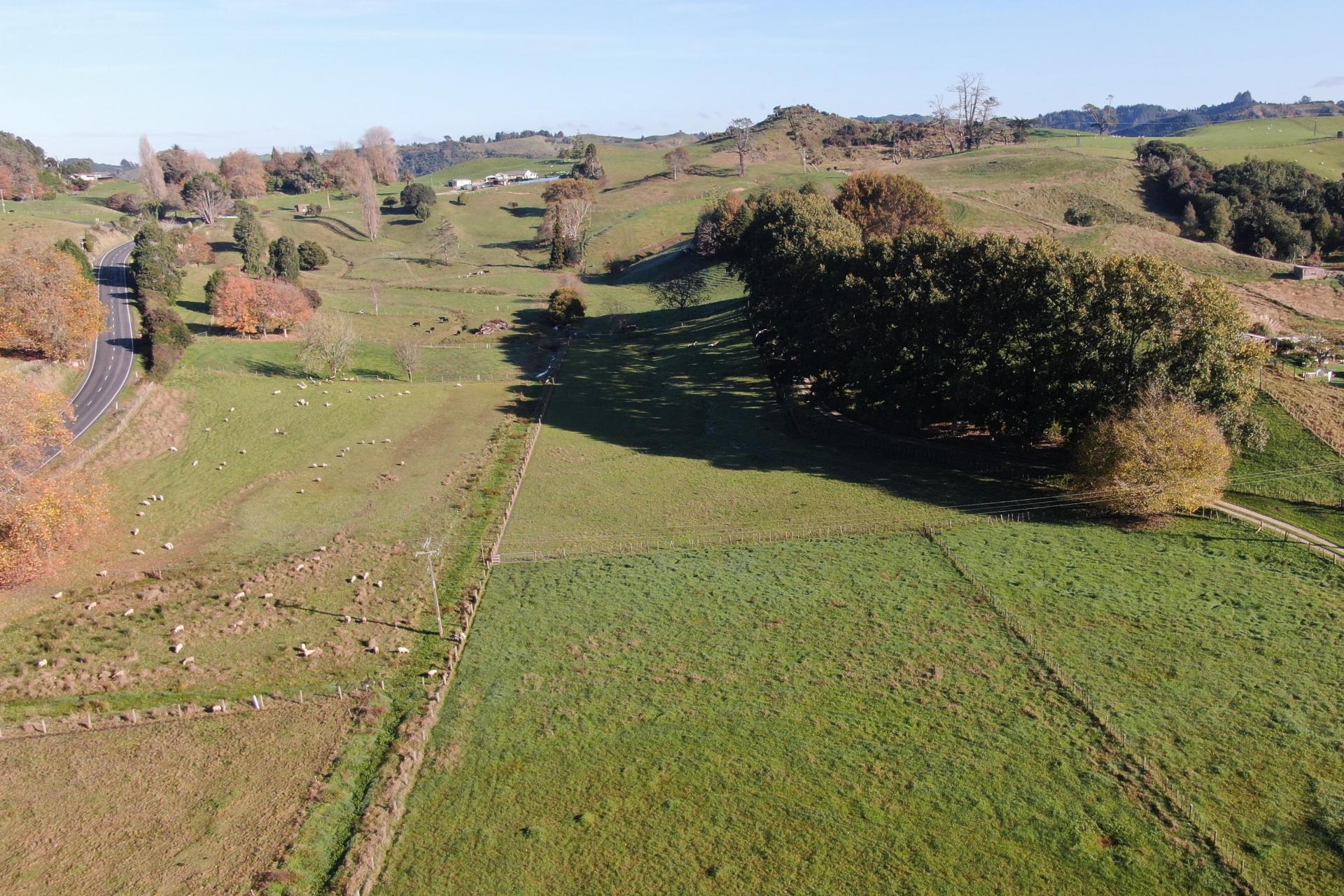 Te Kuiti