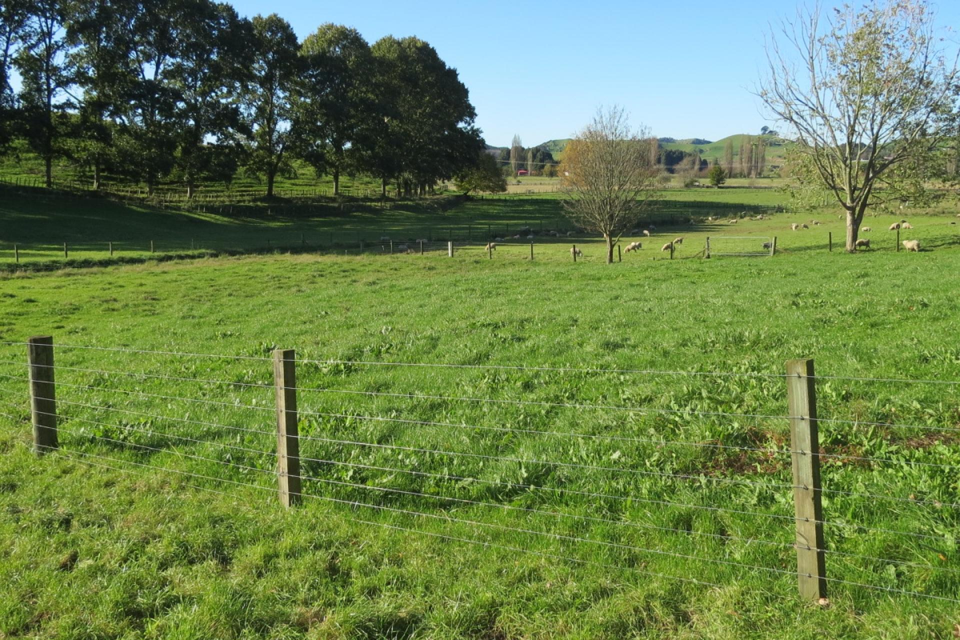 Te Kuiti