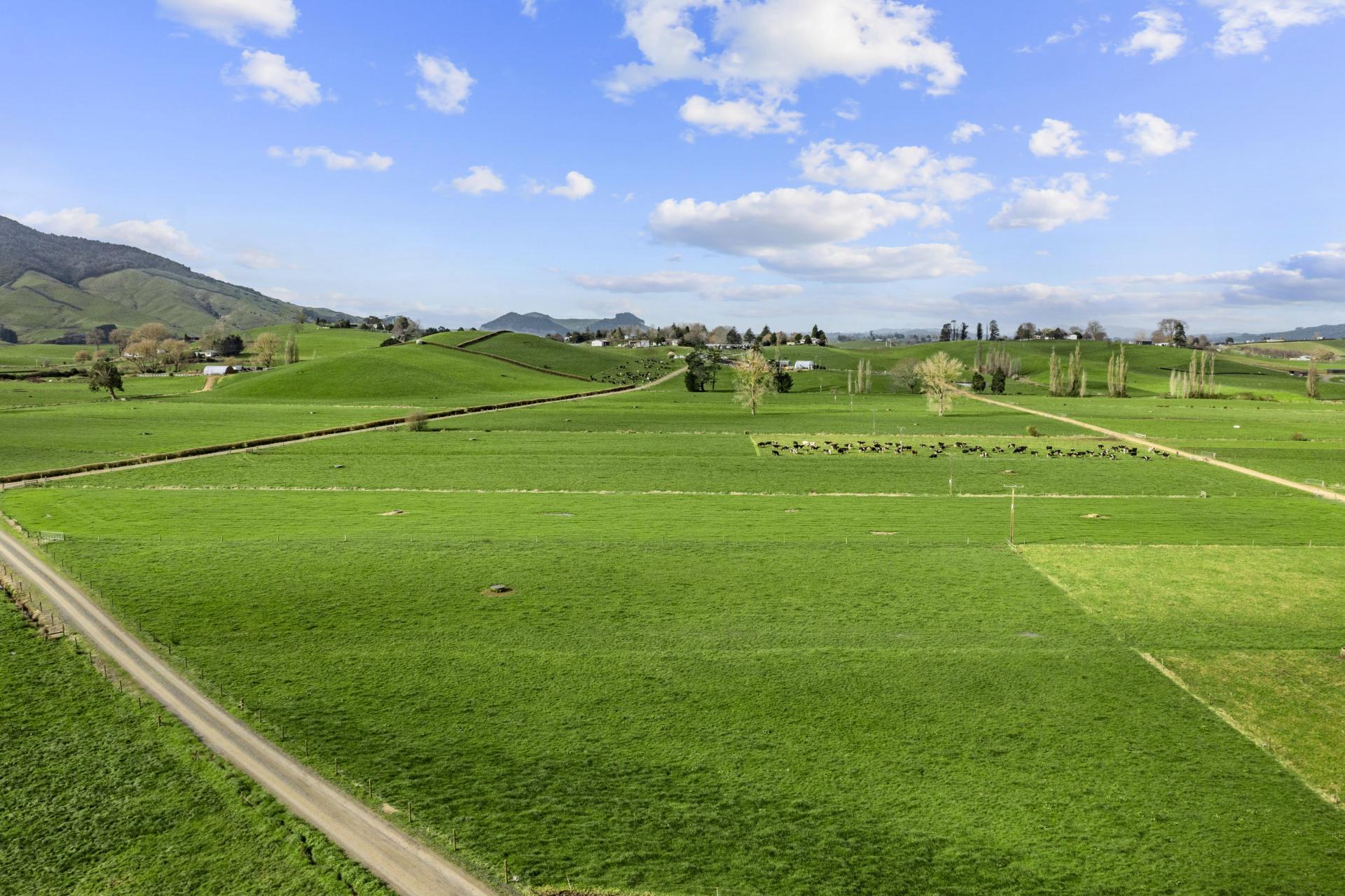 Te Awamutu