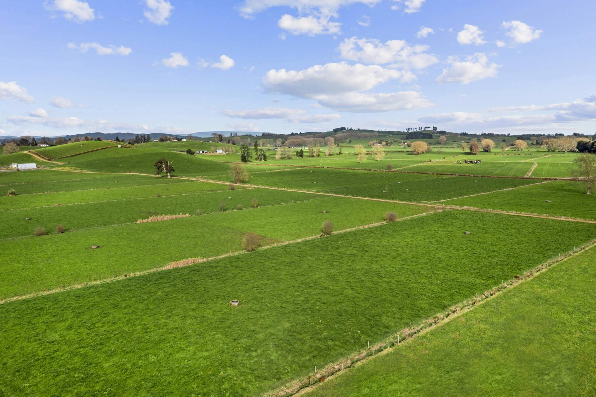 Te Awamutu