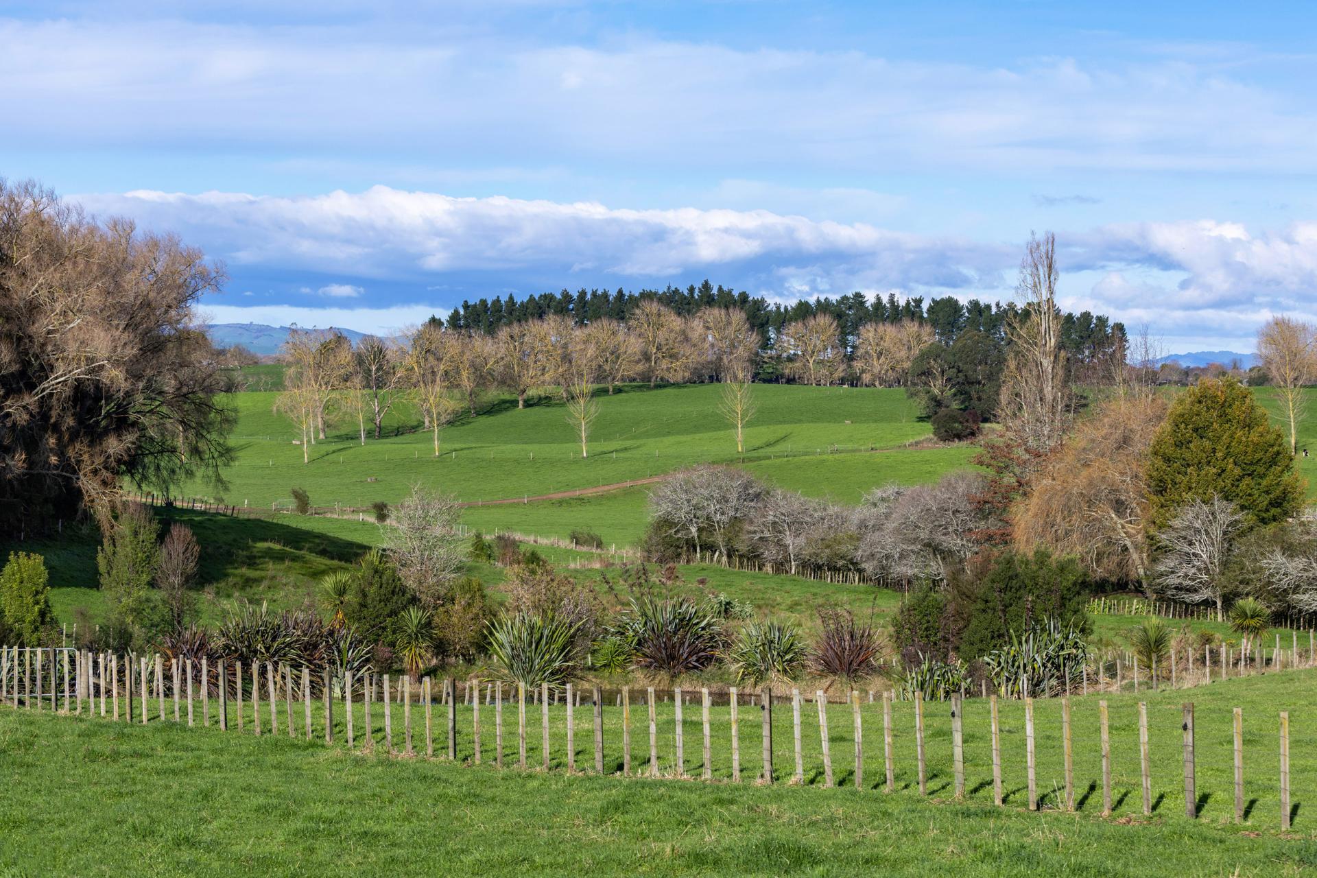 4953 Ohaupo Road, Te Awamutu