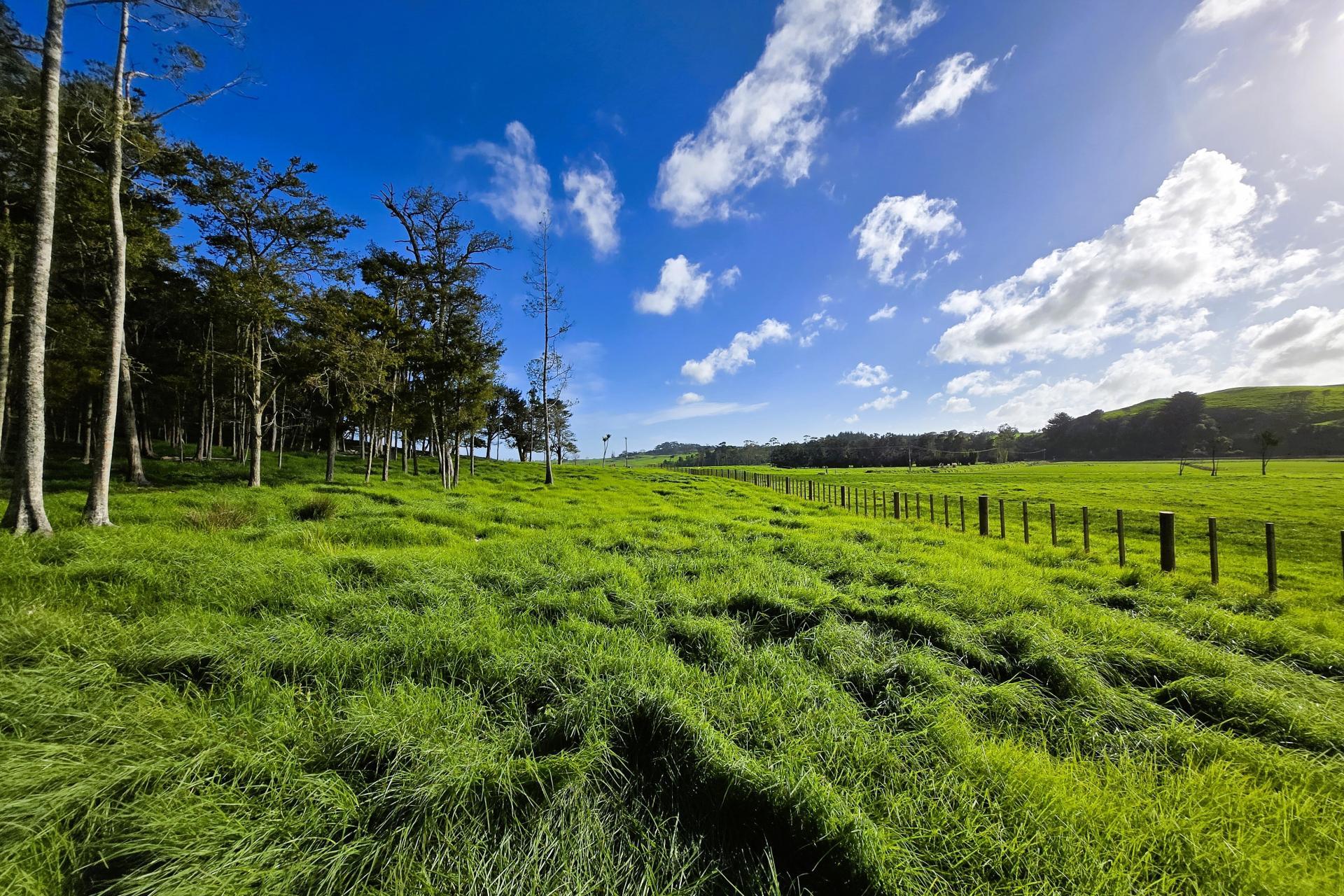 Lots 3 and 4, Sills Road, Dargaville