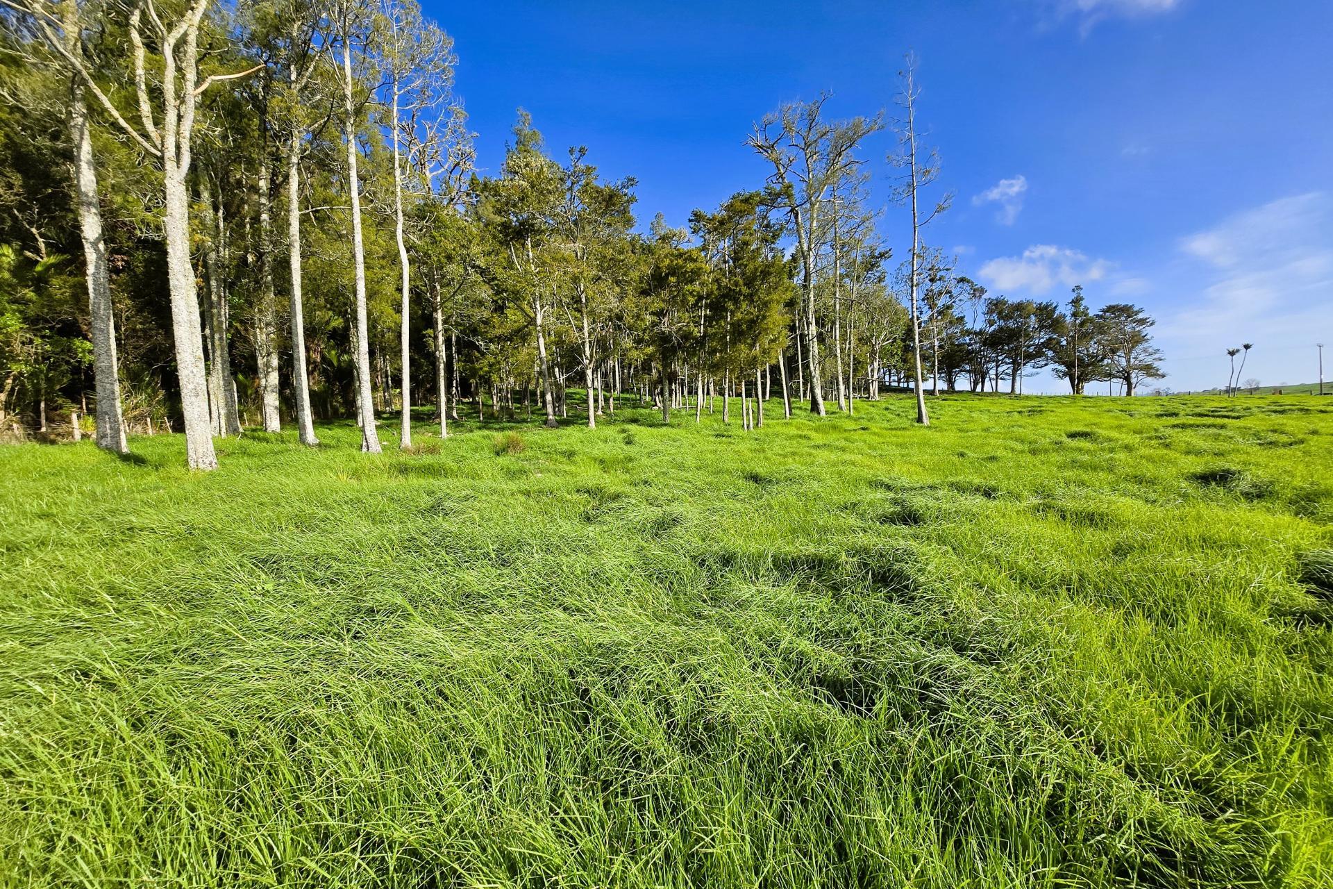 Lots 3 and 4, Sills Road, Dargaville