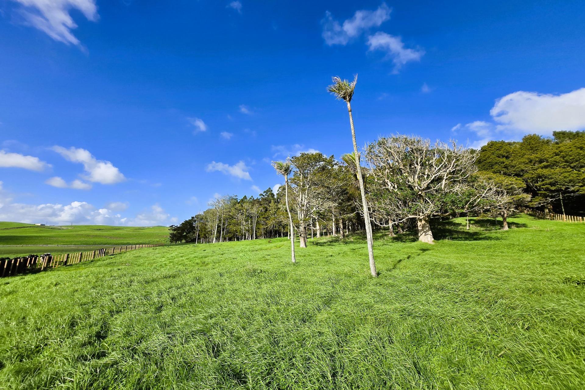 Lots 3 and 4, Sills Road, Dargaville