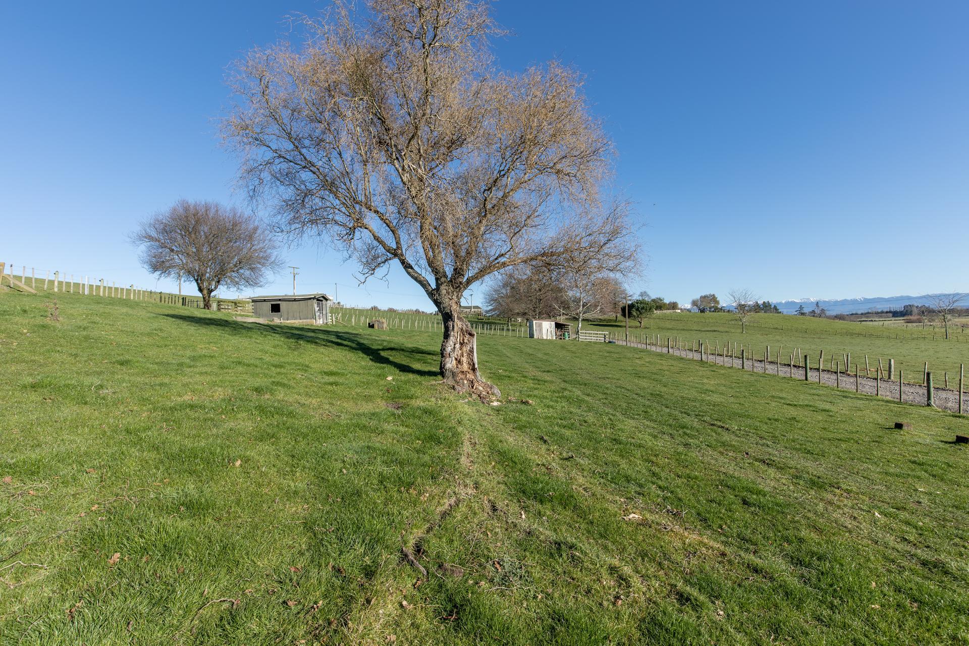 Lot 5 - 725 Lindsay Road, Waipawa