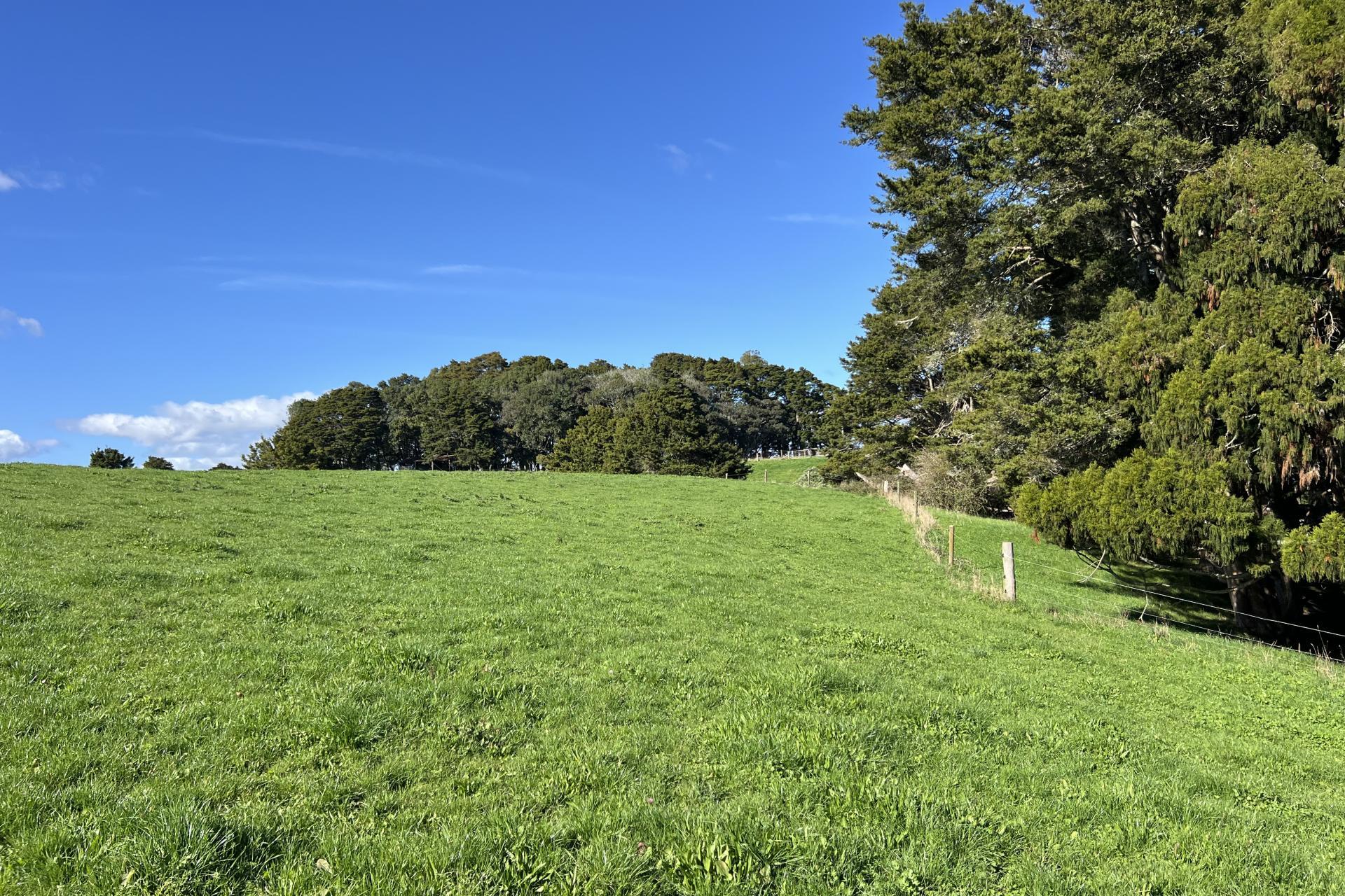 678 Waiuku Road, Mauku
