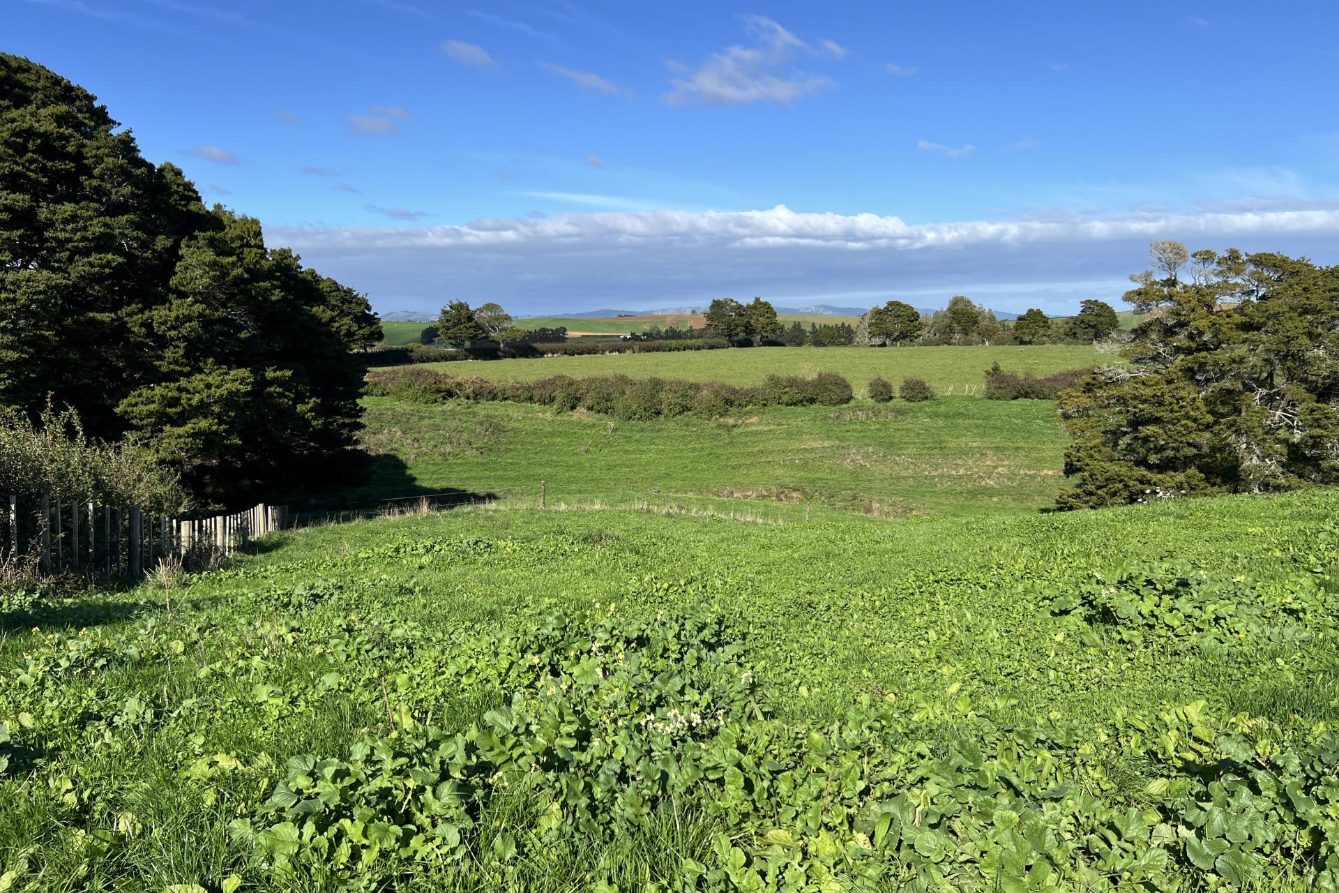 678 Waiuku Road, Mauku