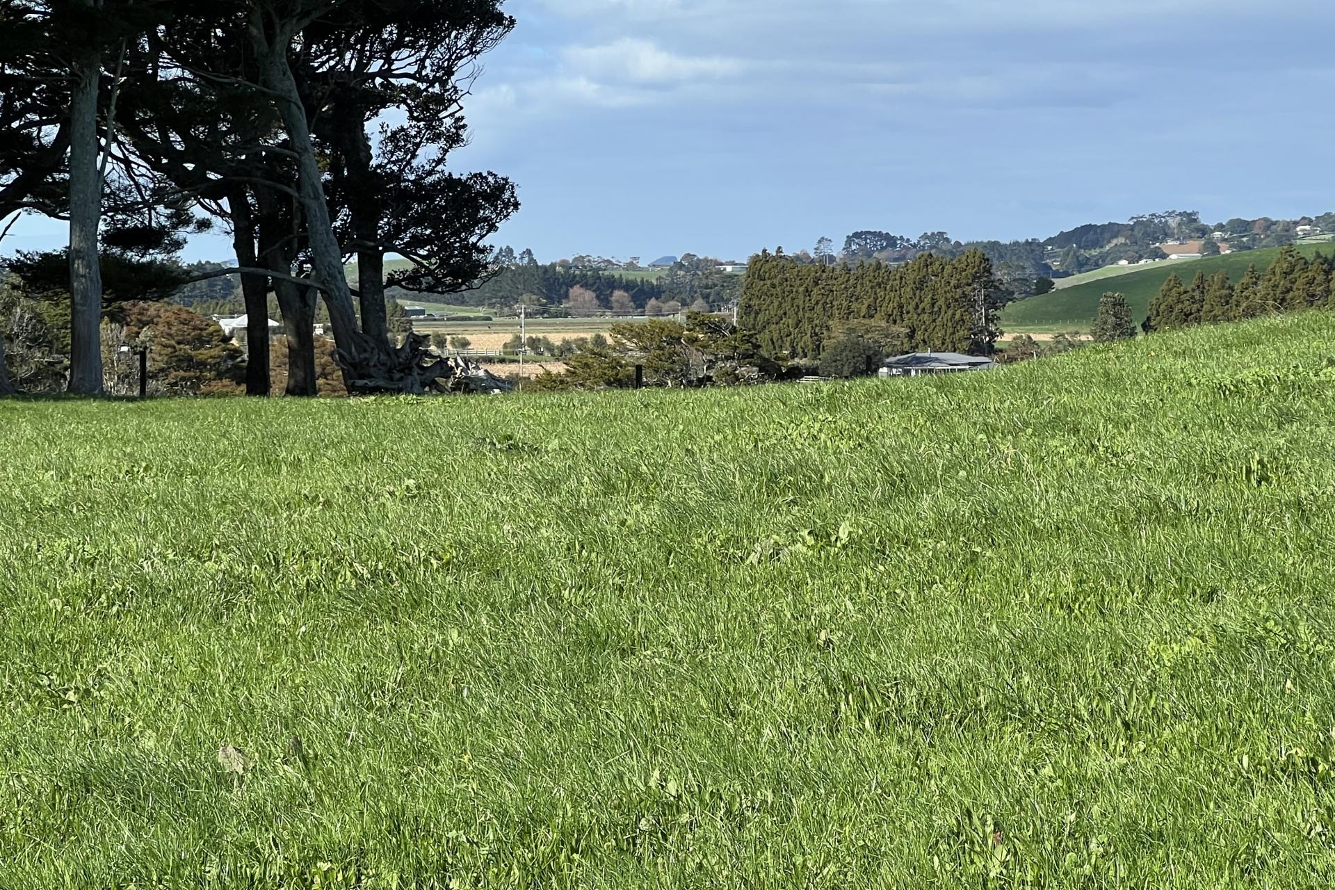 678 Waiuku Road, Mauku