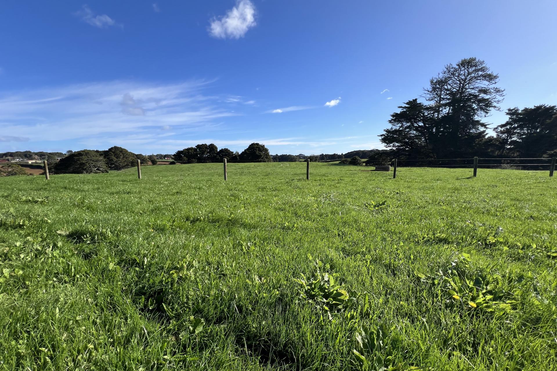 678 Waiuku Road, Mauku
