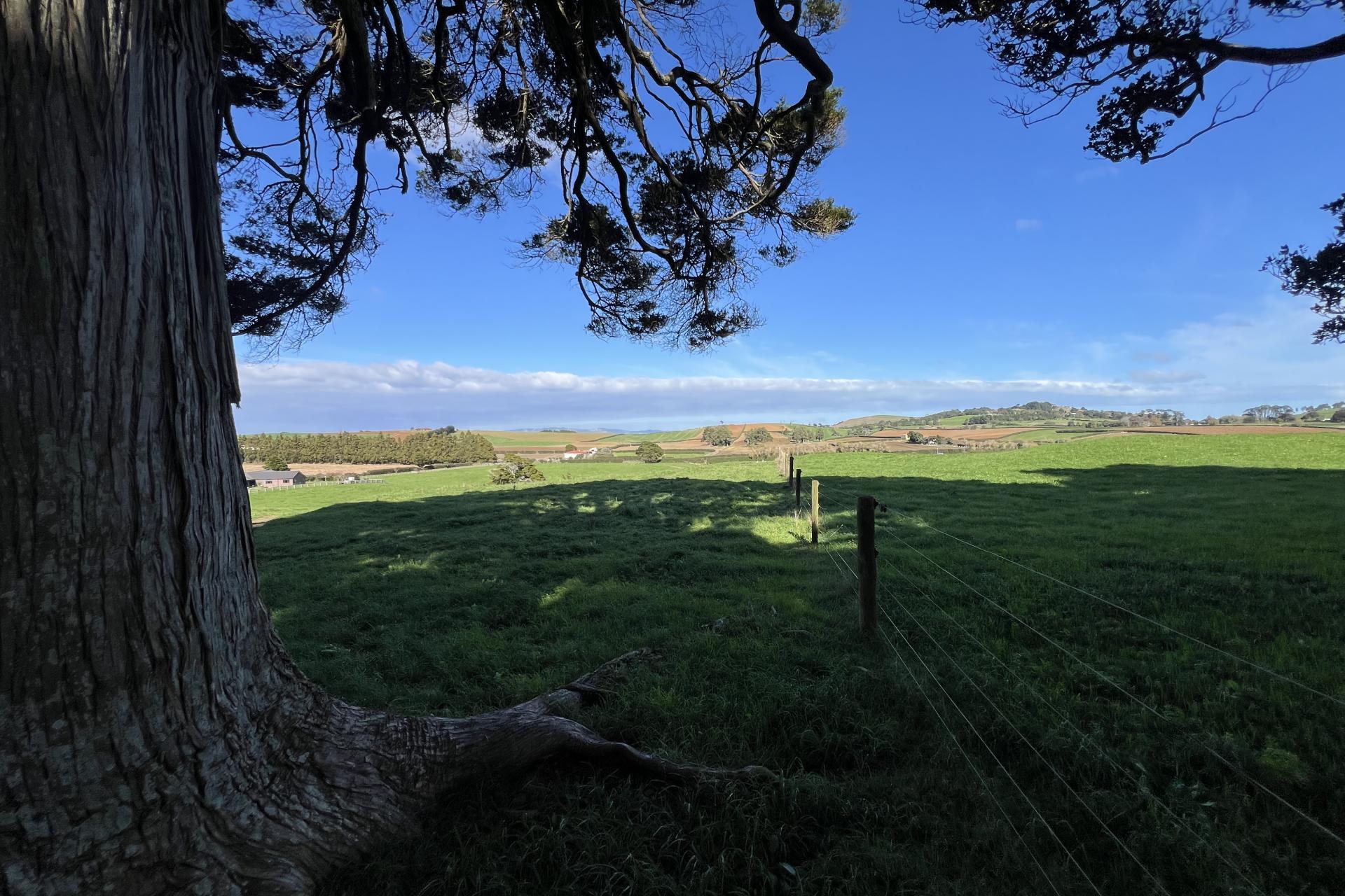 678 Waiuku Road, Mauku