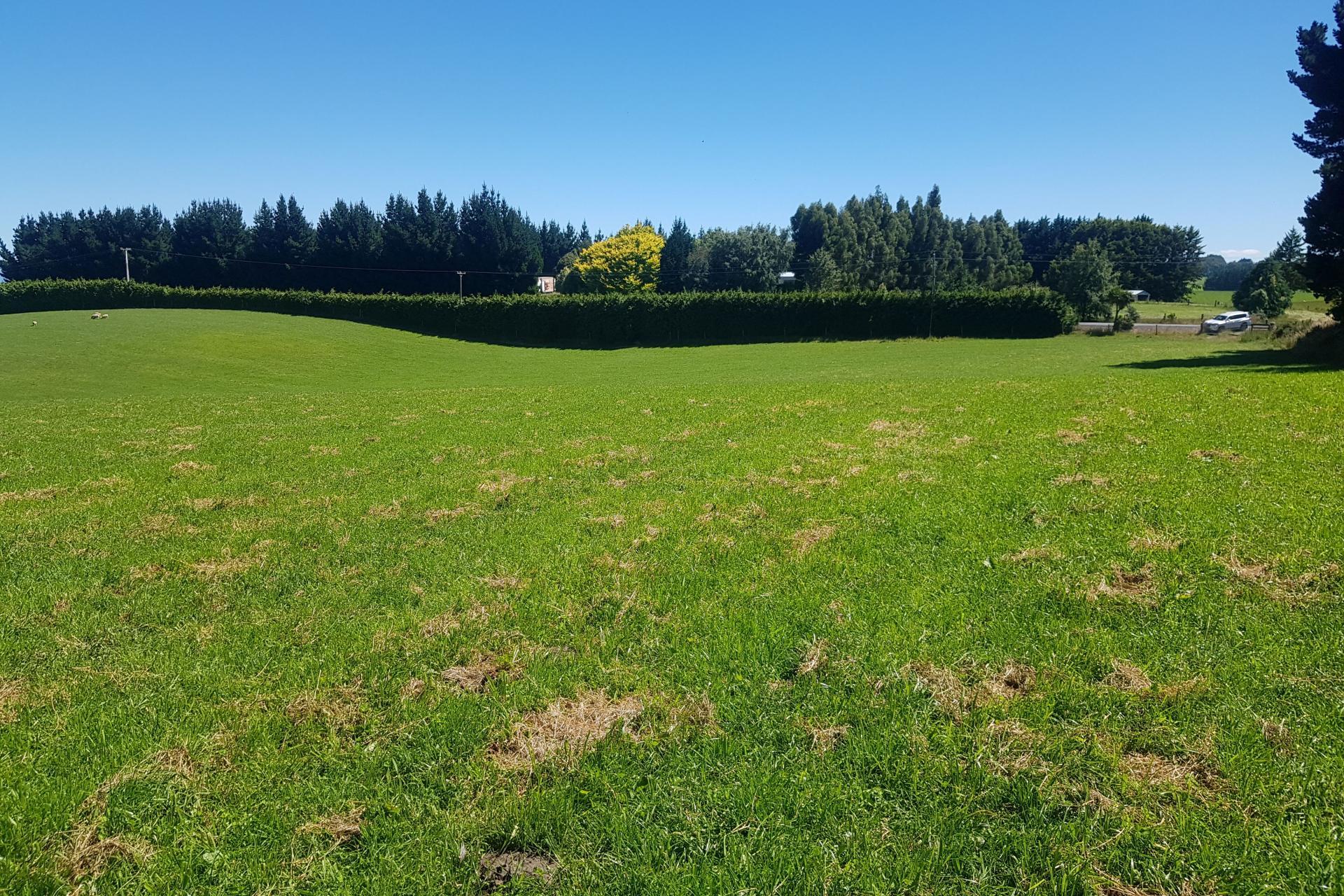 Hillend Road, Balclutha