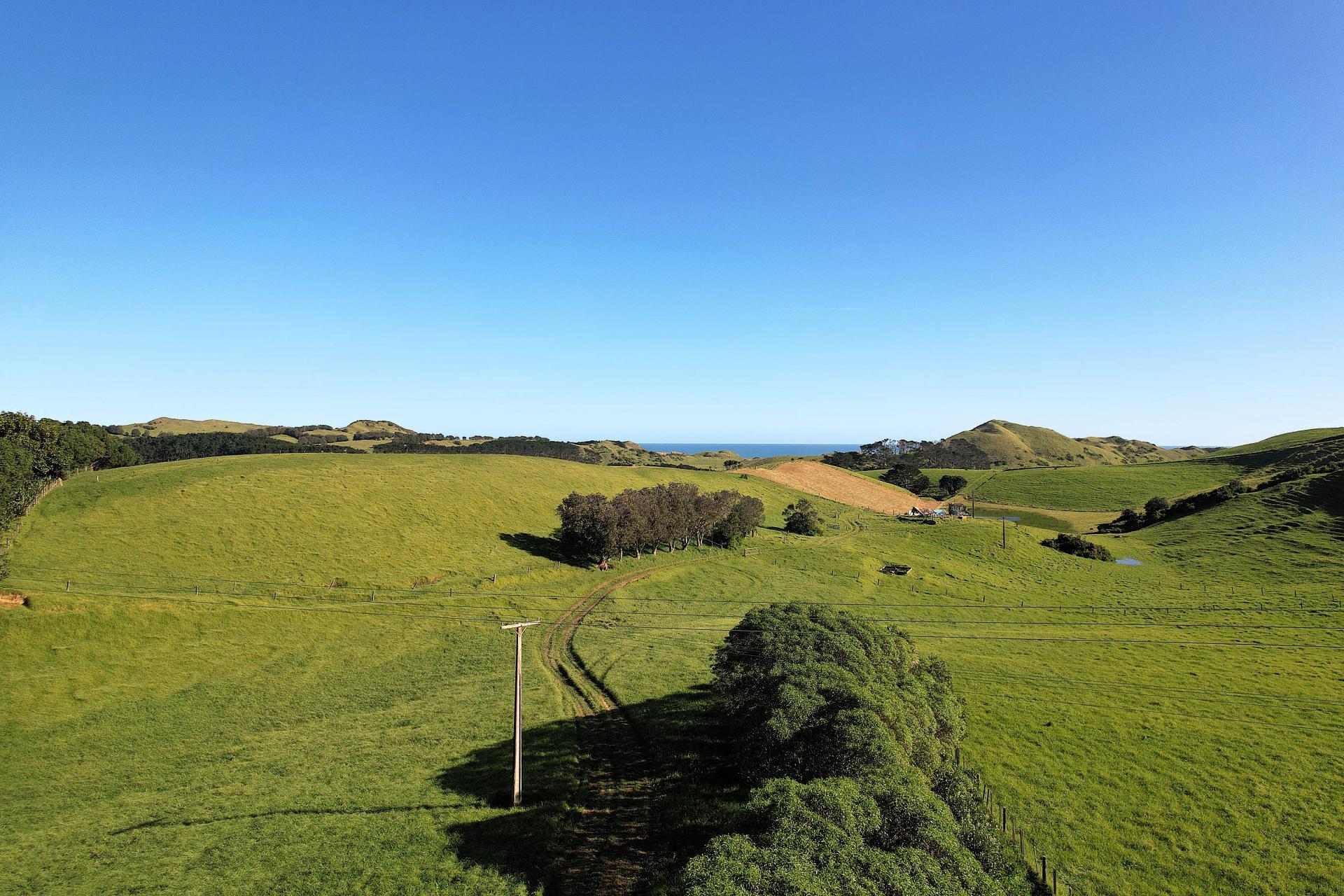 Rehutai Road, Baylys Beach