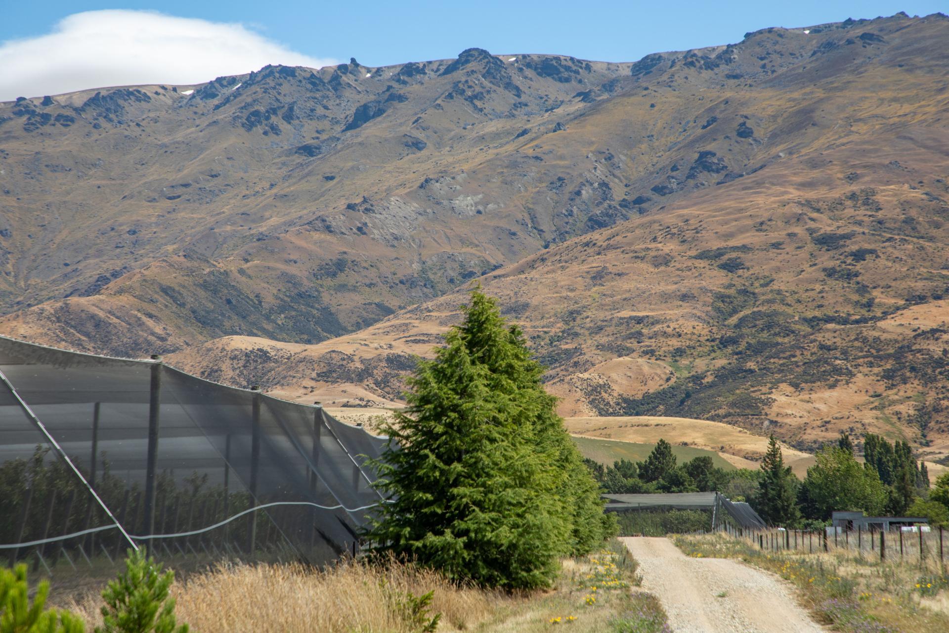 Gilmore Road, Mount Pisa, Cromwell