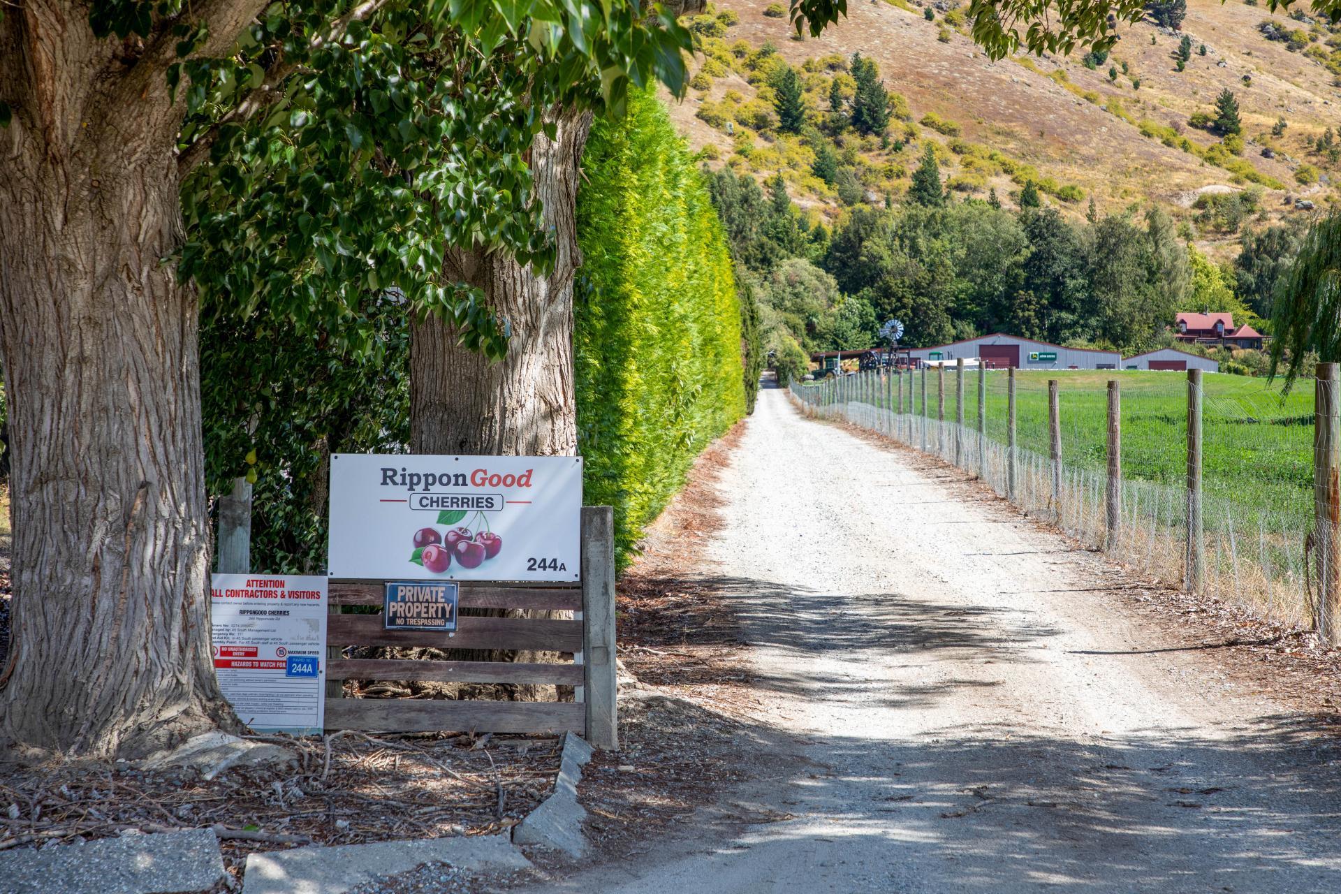 244A Ripponvale Road, Cromwell
