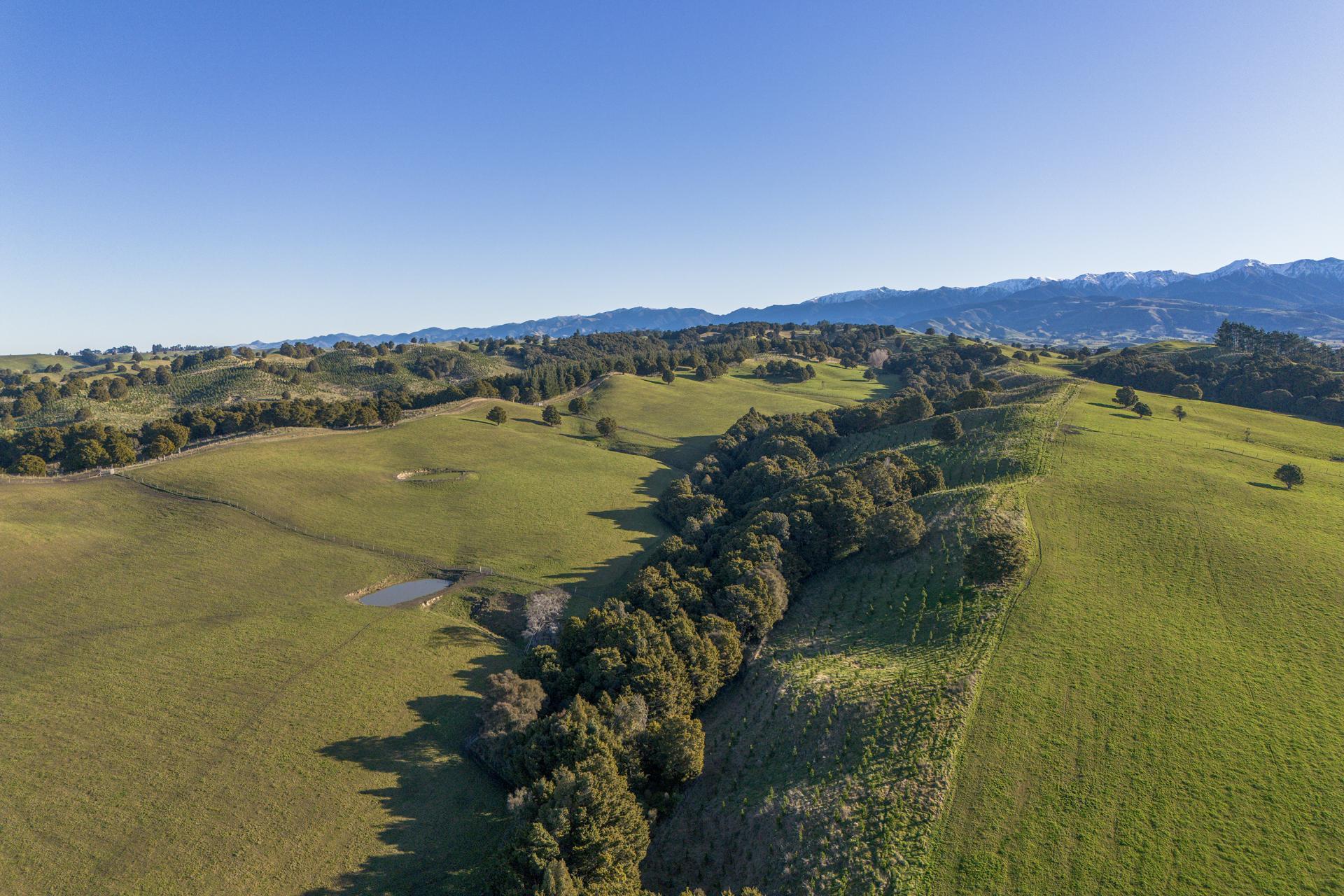 1527 Wakarara Road, Ongaonga