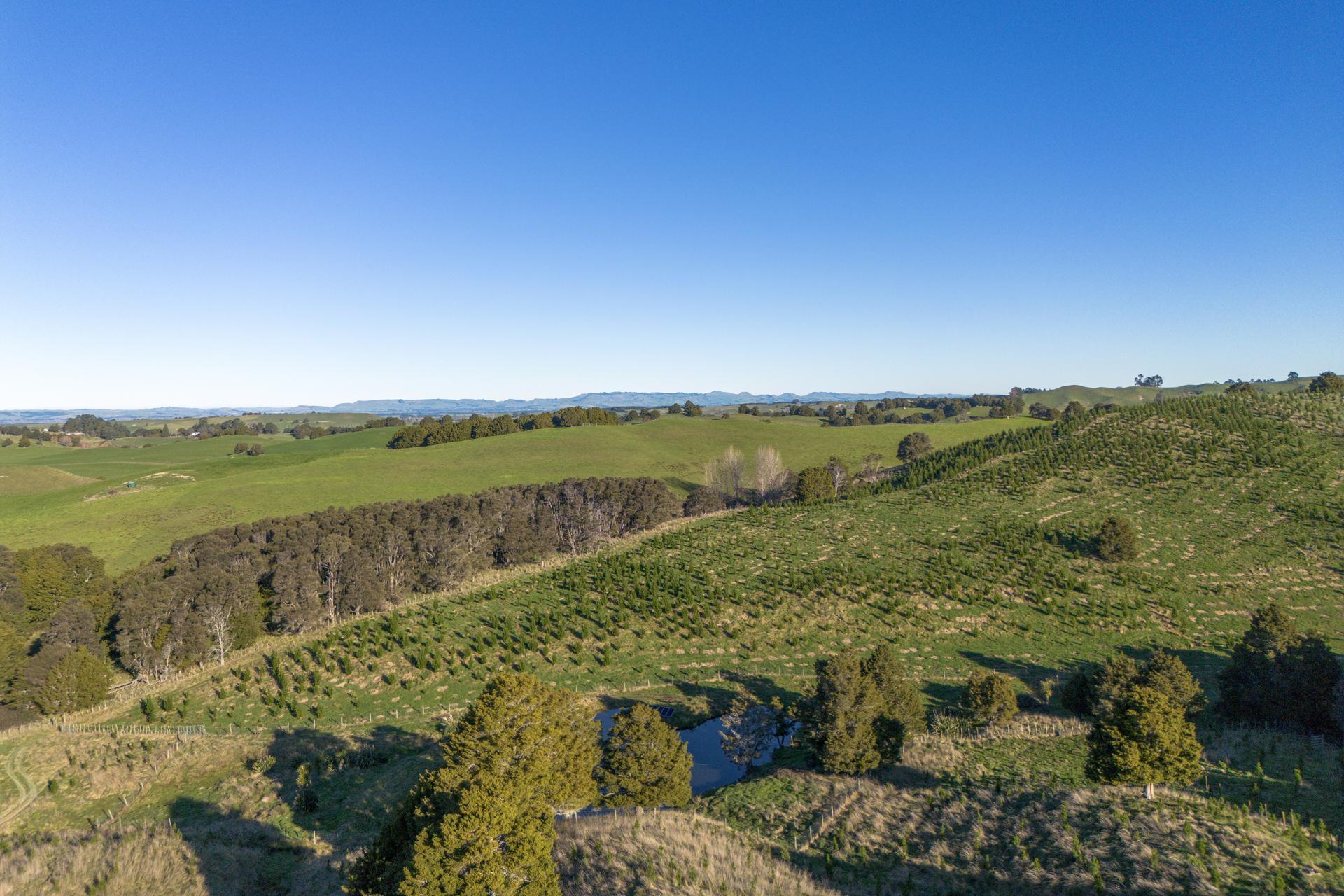 1527 Wakarara Road, Ongaonga