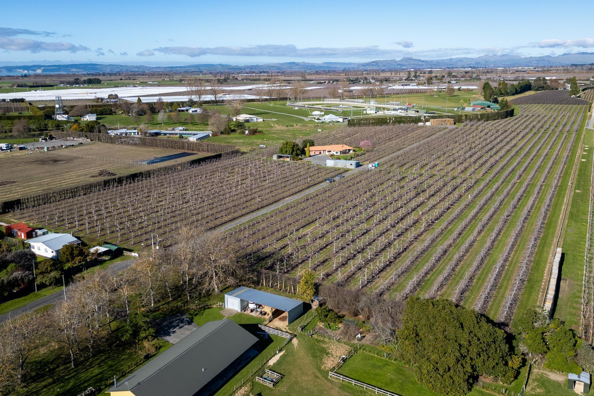 20 Parsons Road, Meeanee