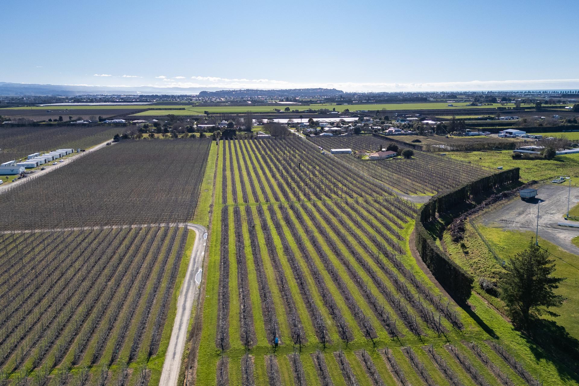 20 Parsons Road, Meeanee