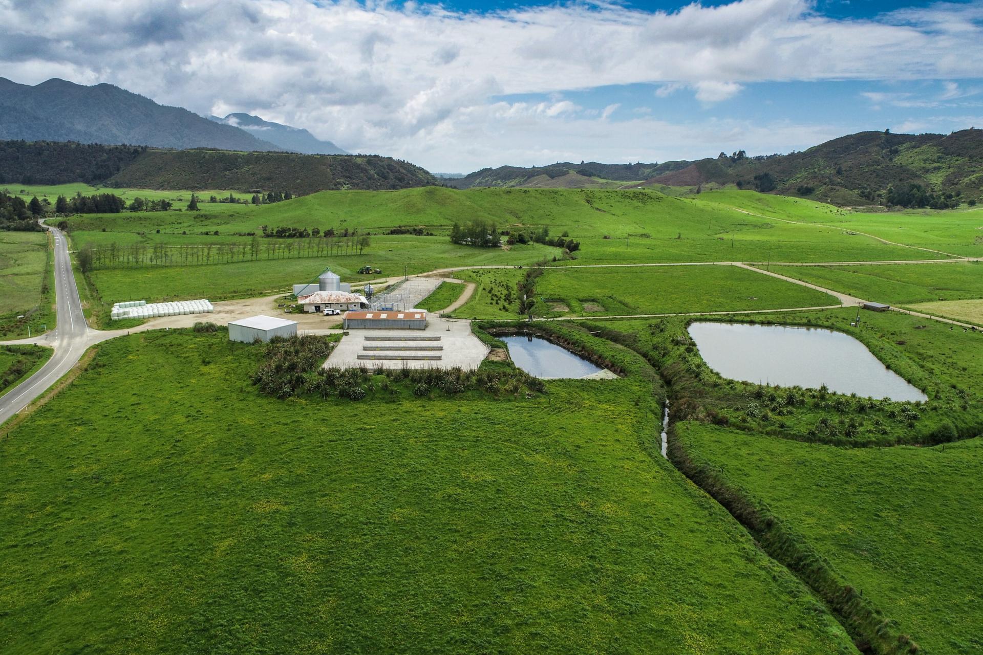 1629 Collingwood-Bainham Main Road, Bainham
