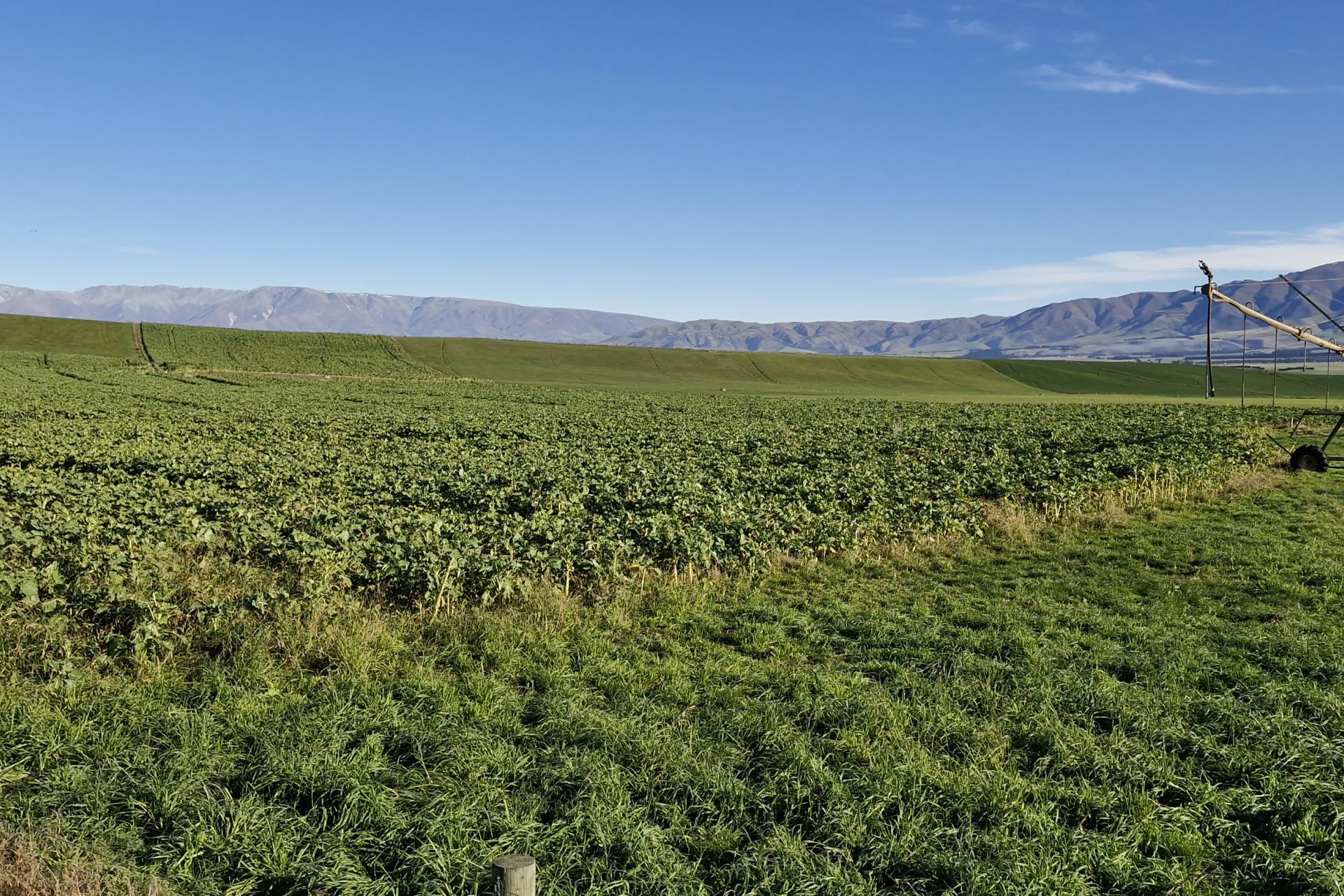 1883 Meyers Pass Road, Hakataramea Valley