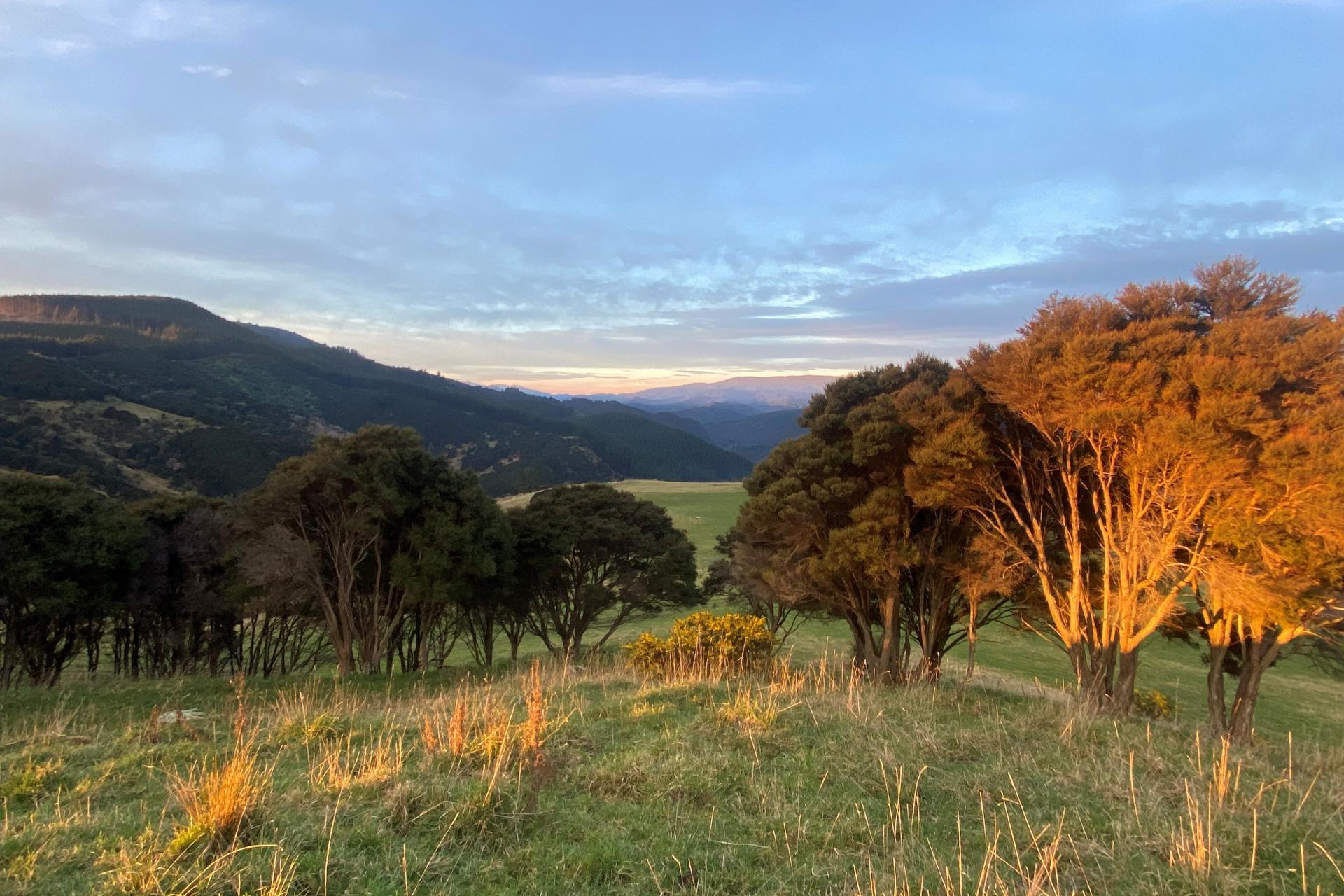 121 Silverstream Valley Road, North Taieri