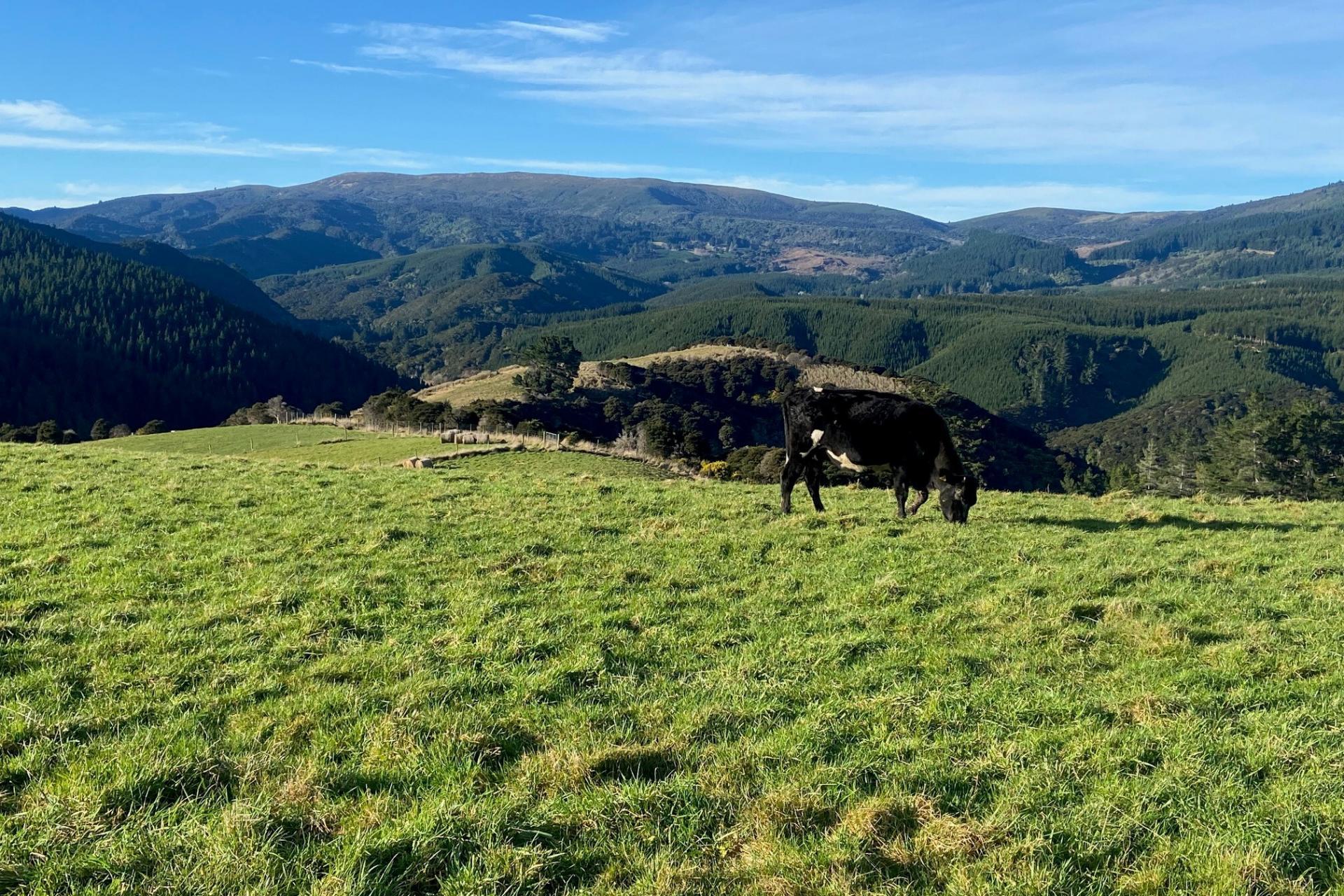 121 Silverstream Valley Road, North Taieri