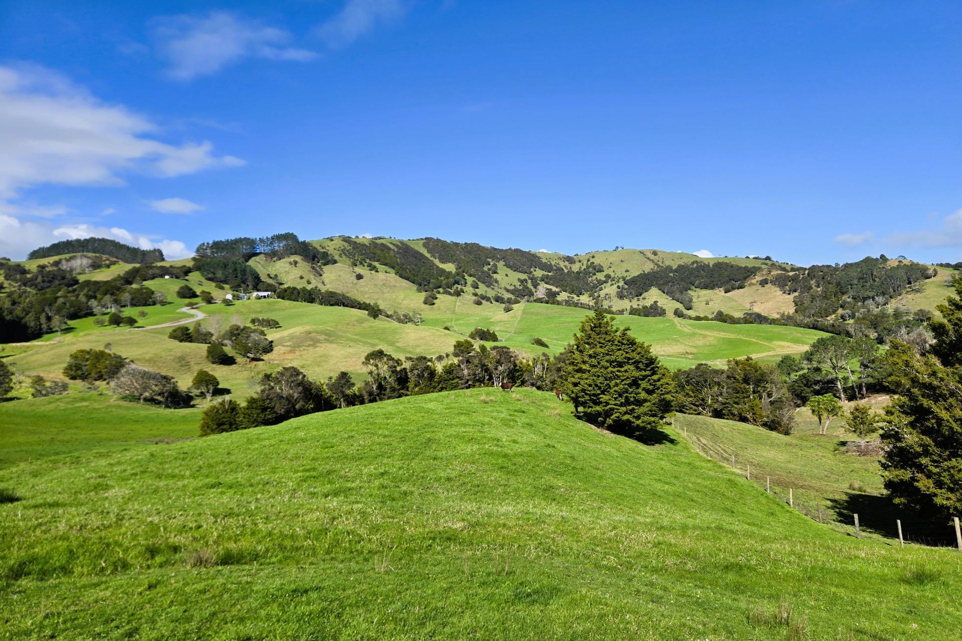 Whakahara Road, Dargaville