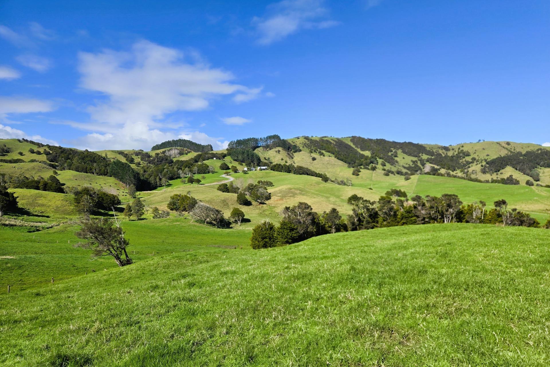 Whakahara Road, Dargaville