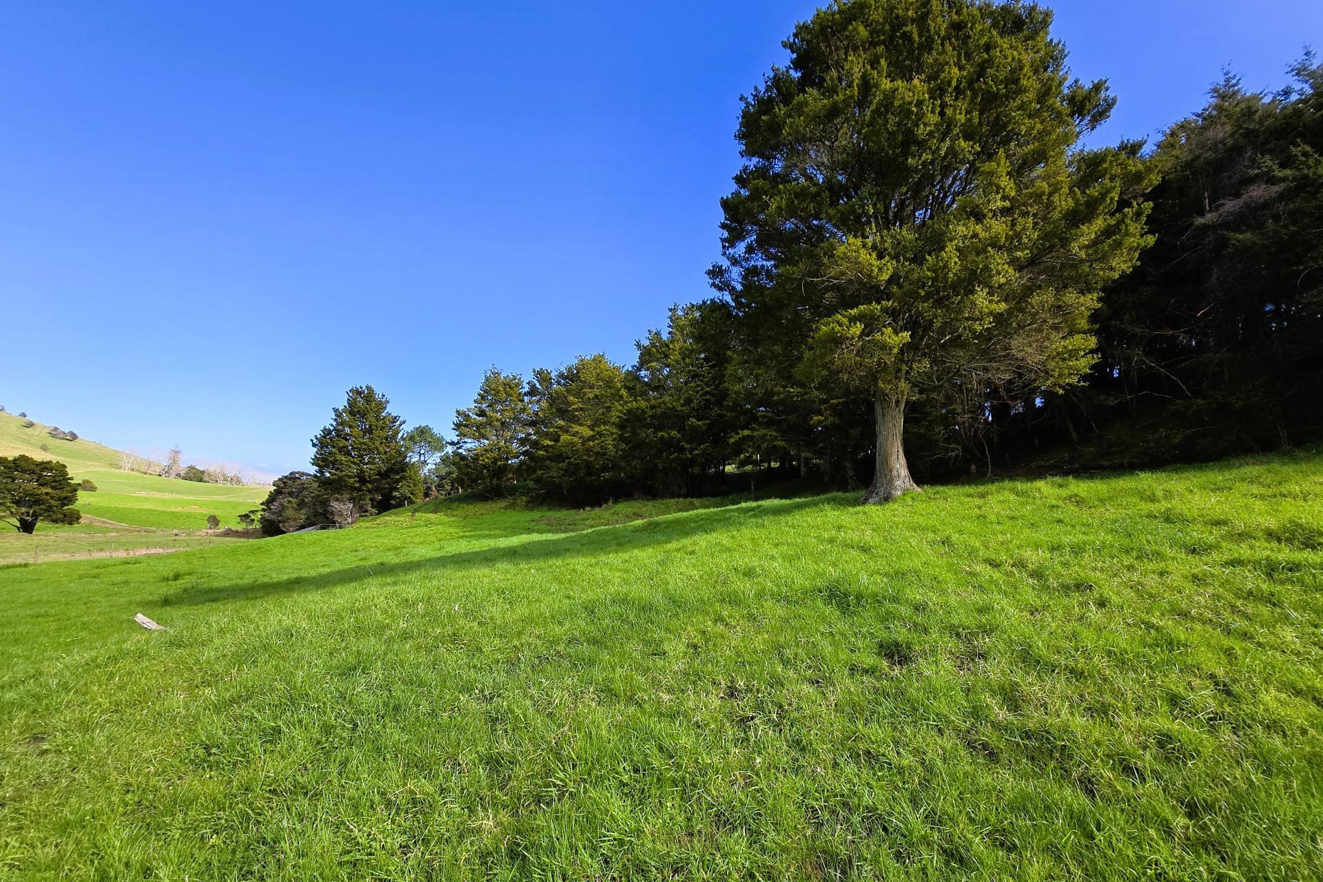 Whakahara Road, Dargaville