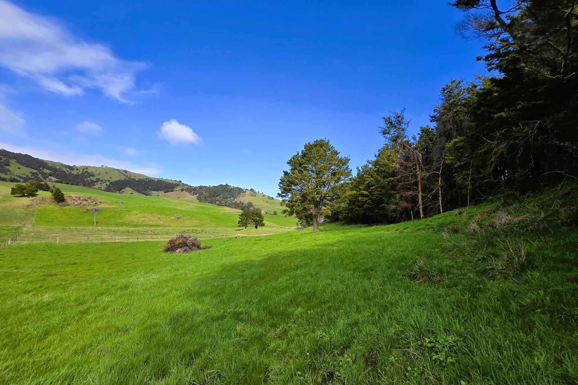 Whakahara Road, Dargaville