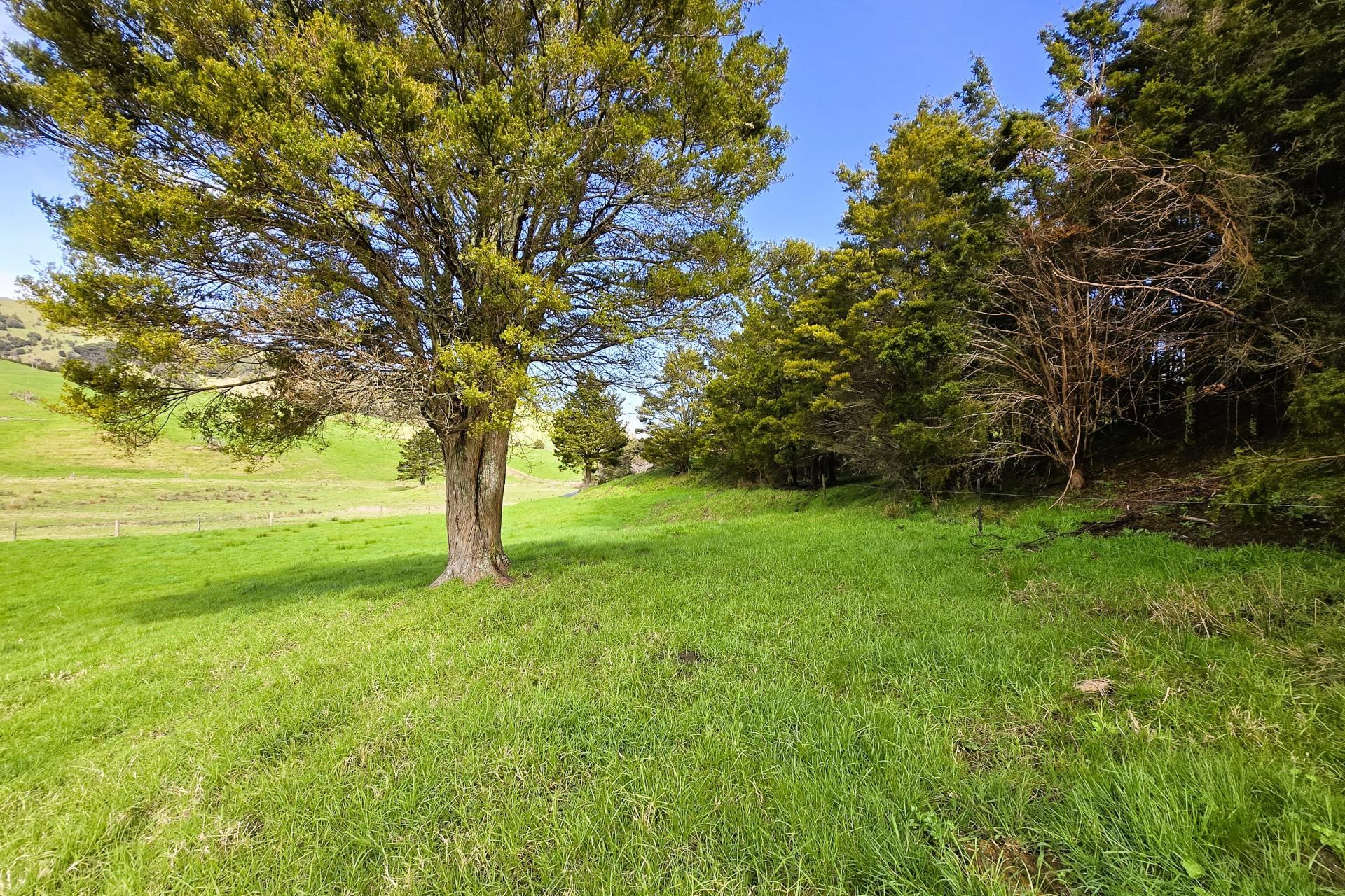 Whakahara Road, Dargaville