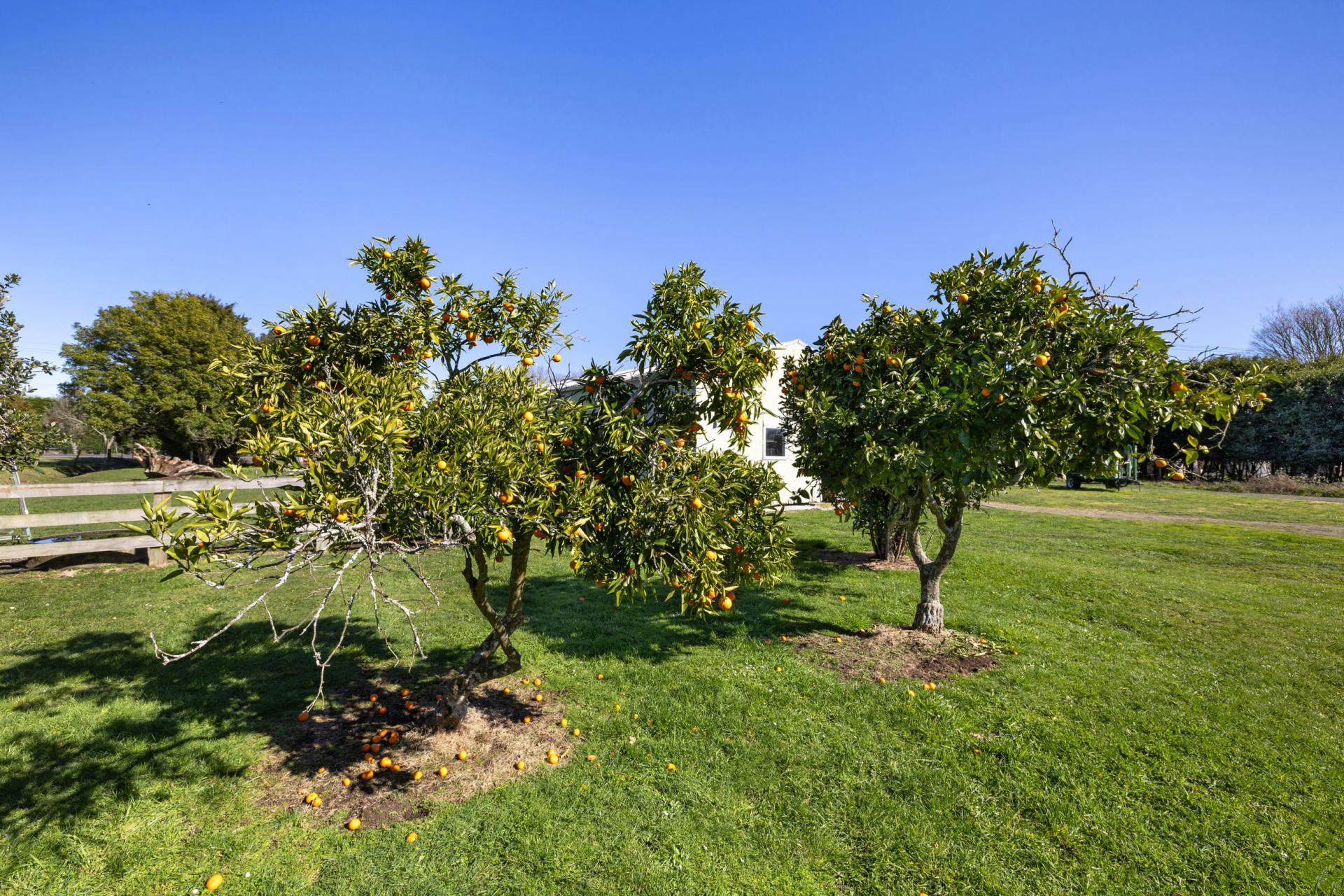 386 Marshmeadow Road, Newstead