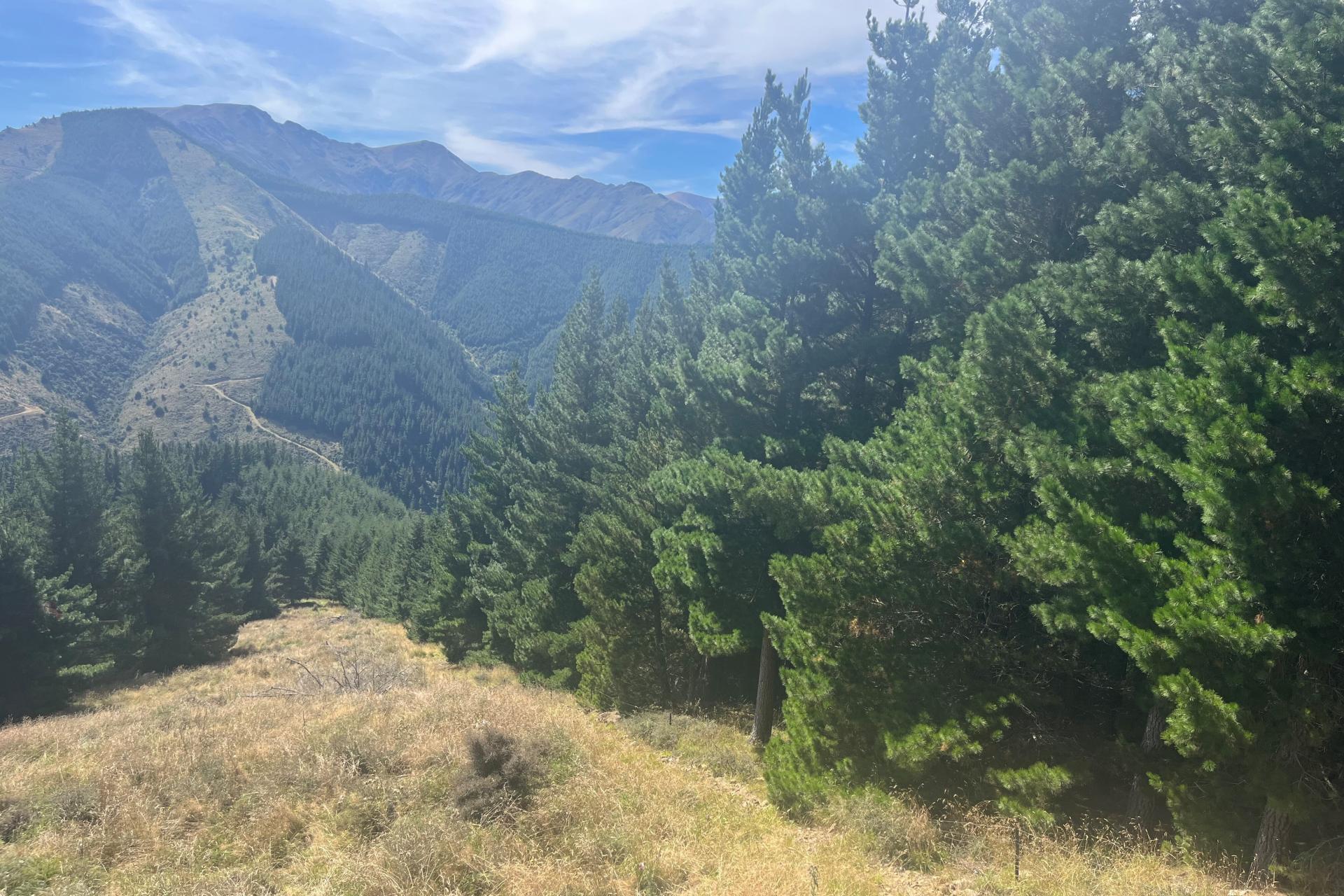2381 Te Moana Road, Kakahu