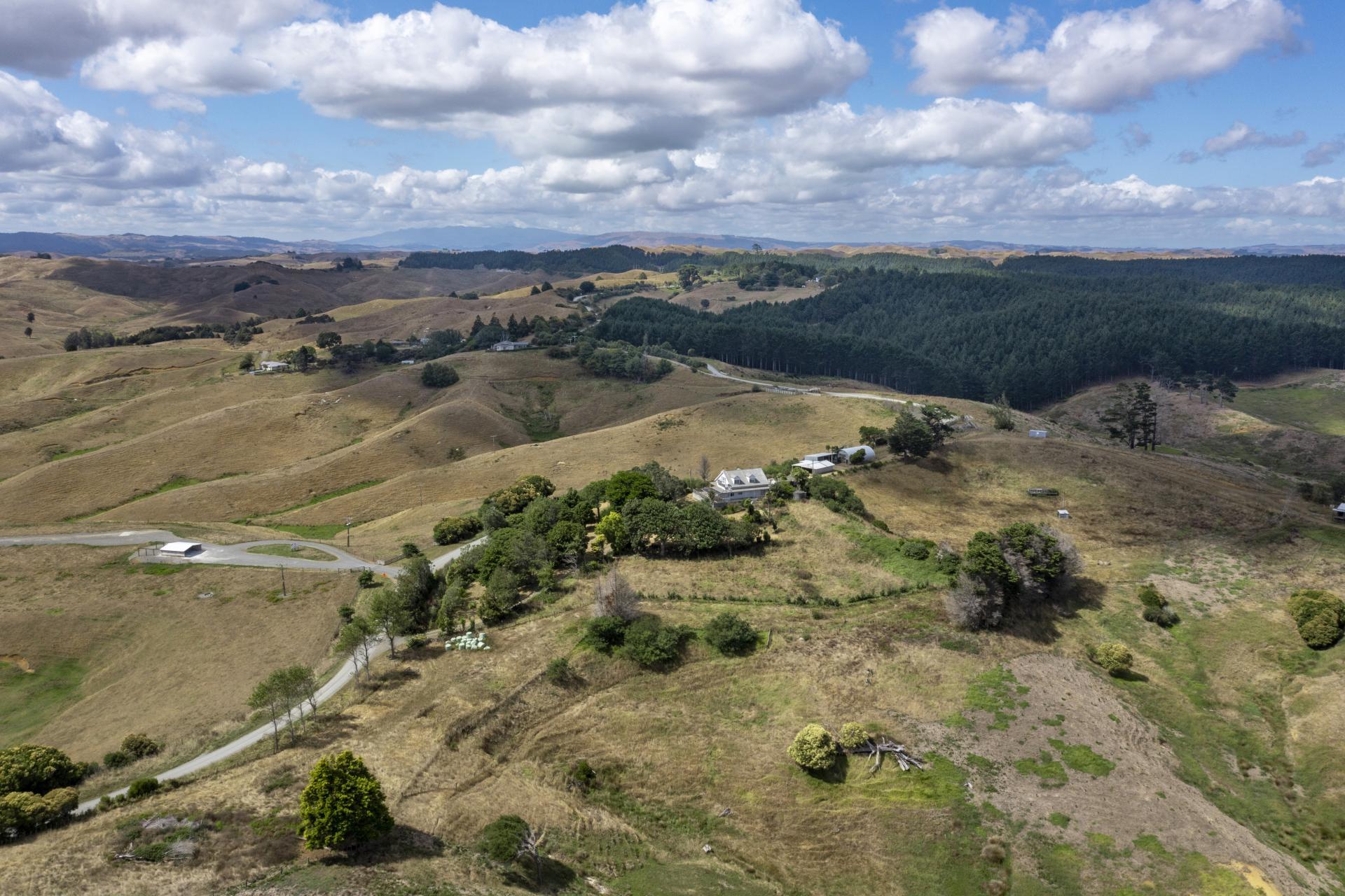 1251 Ruakiwi Road, Te Akau