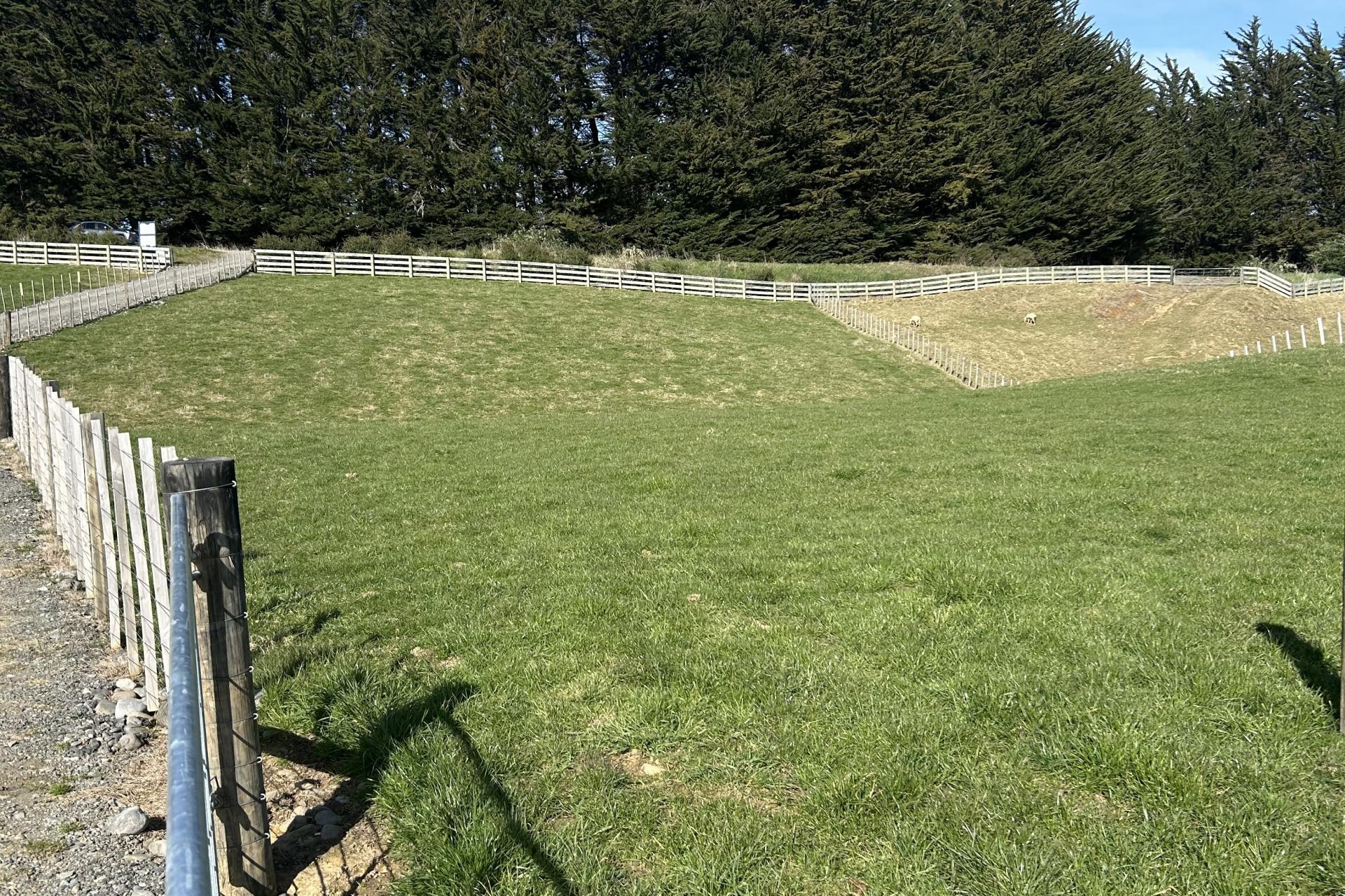 30 Henderson Street, Feilding