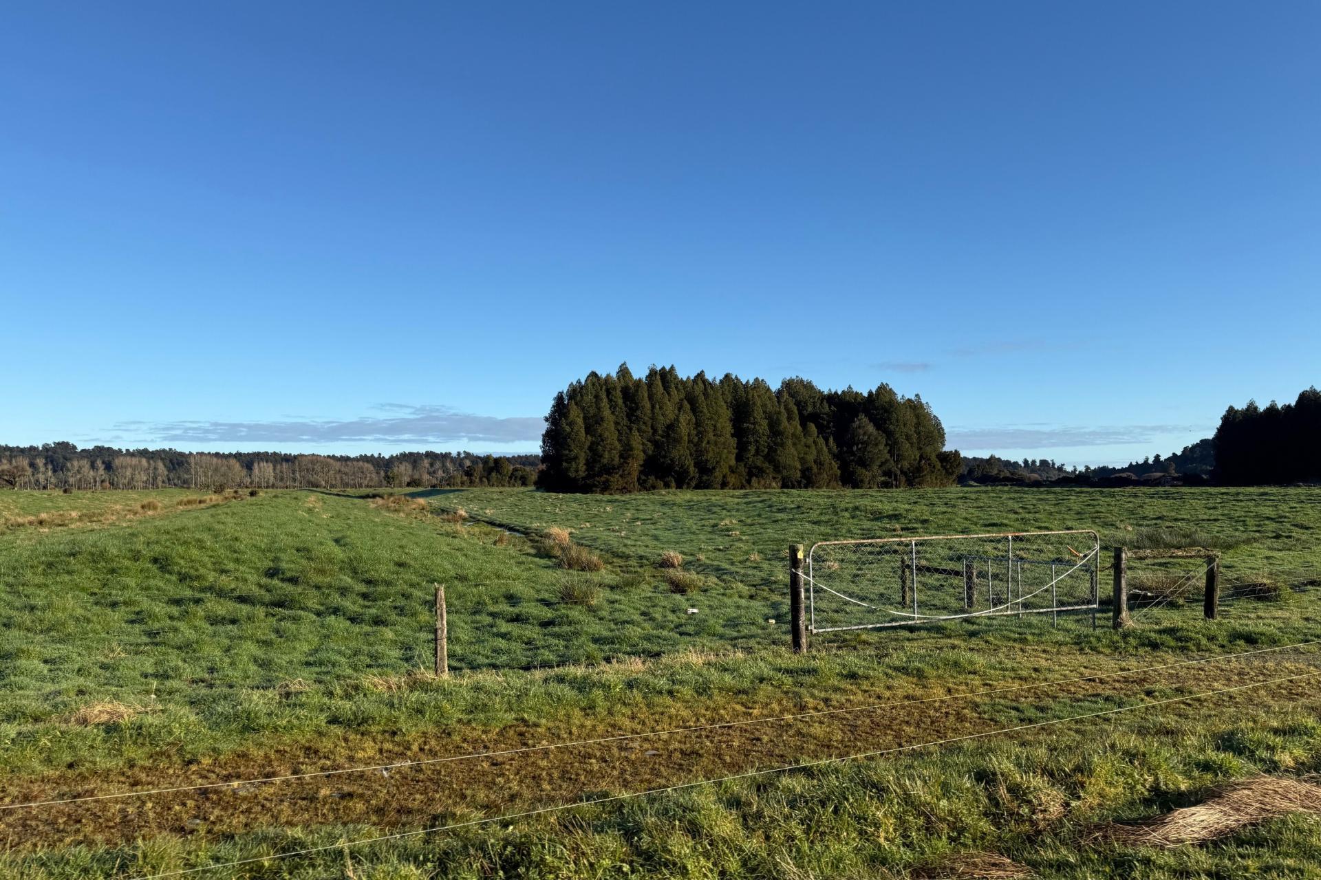116-210 Waitaha Road, Kakapotahi