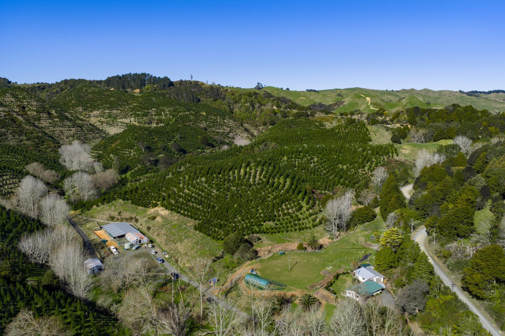 634 Otorohaea Trig Road, Pukemiro