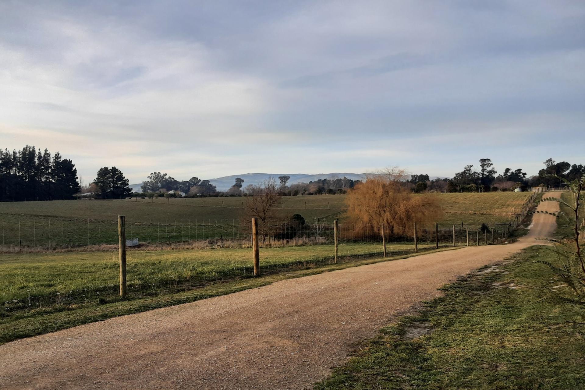 229 Balcairn Amberley Road, Amberley