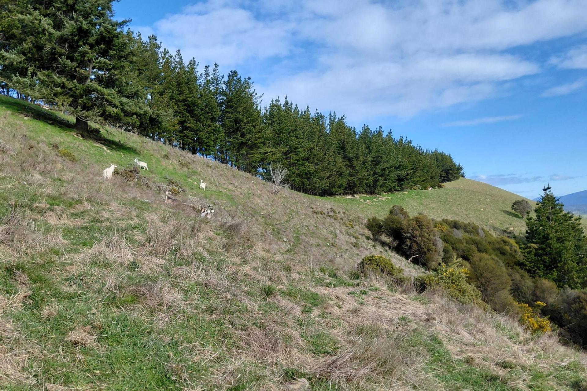 499 Tadmor Valley Road, Tapawera