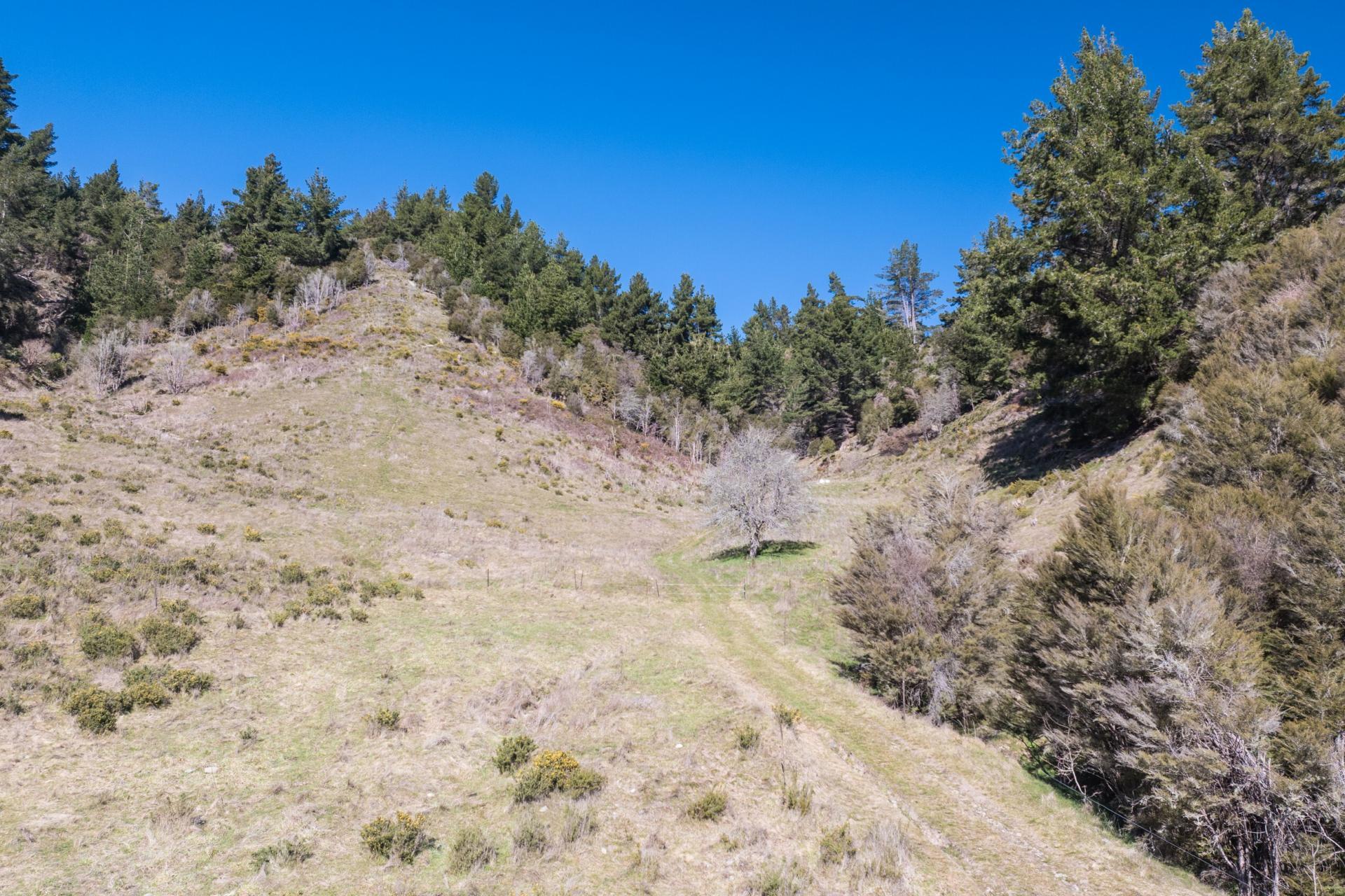 499 Tadmor Valley Road, Tapawera