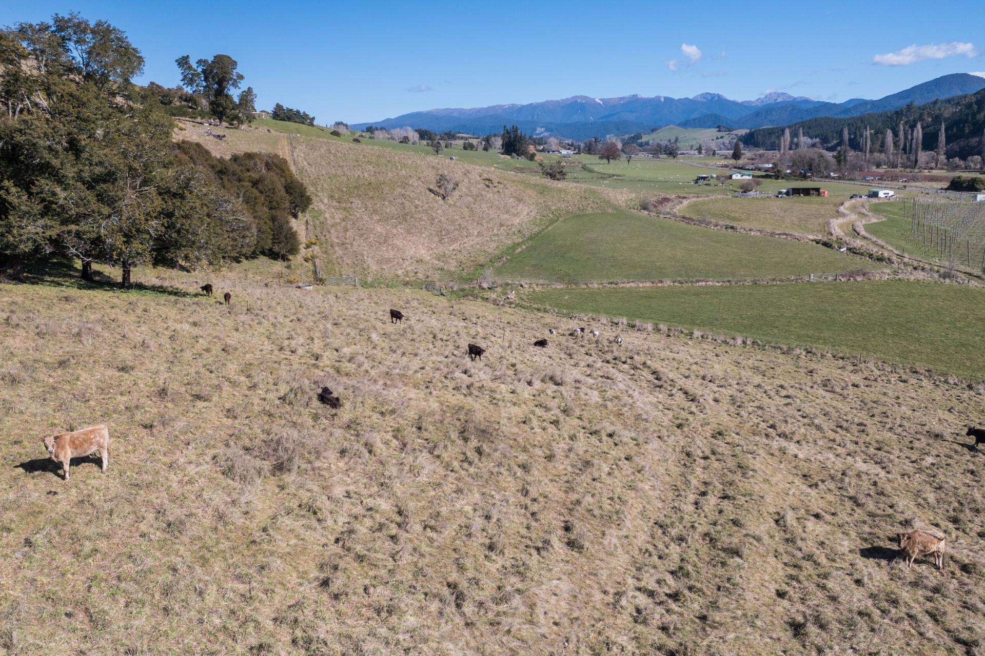 499 Tadmor Valley Road, Tapawera