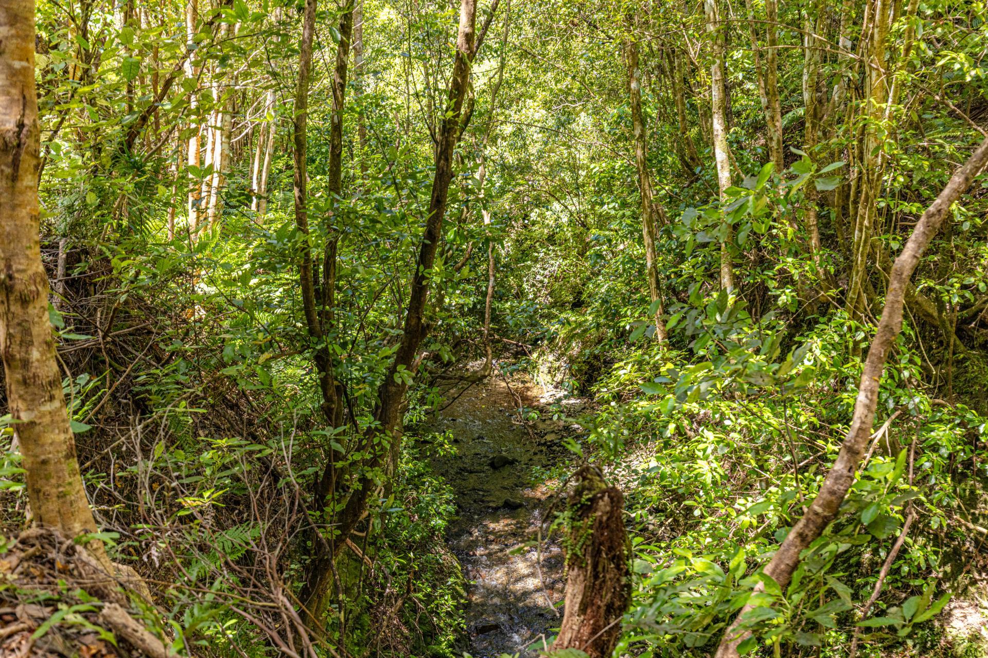 2294A Akatarawa Road, Upper Hutt