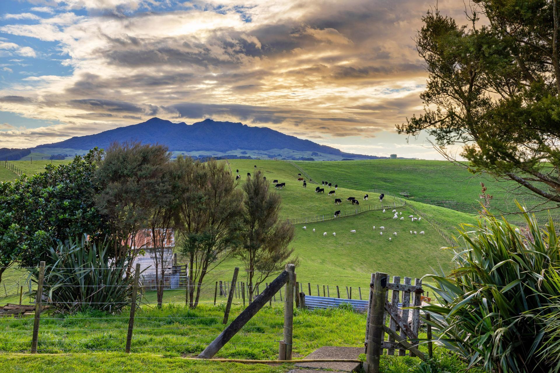 98A Houchen Road, Raglan